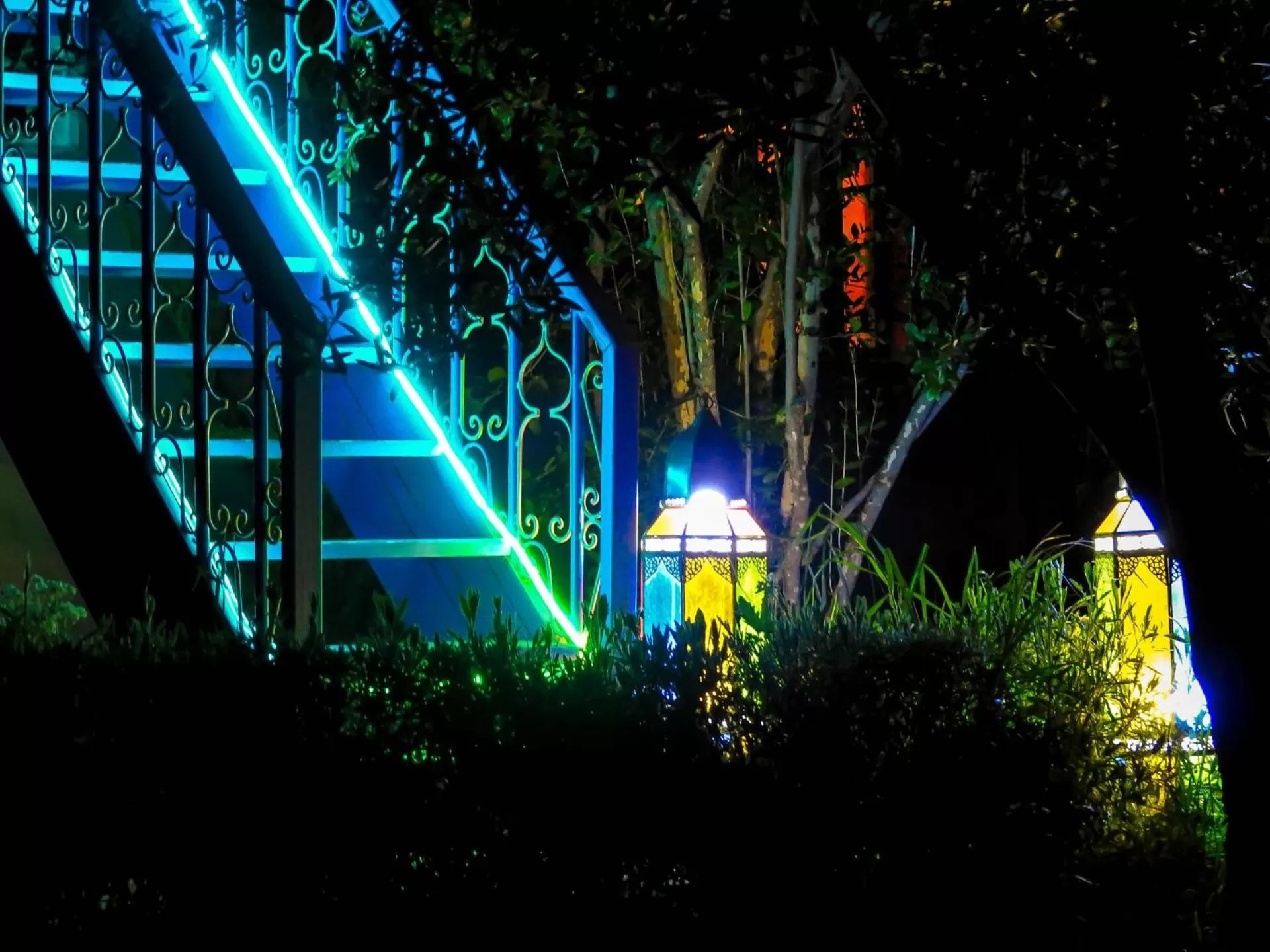 Night in Le Bleu House