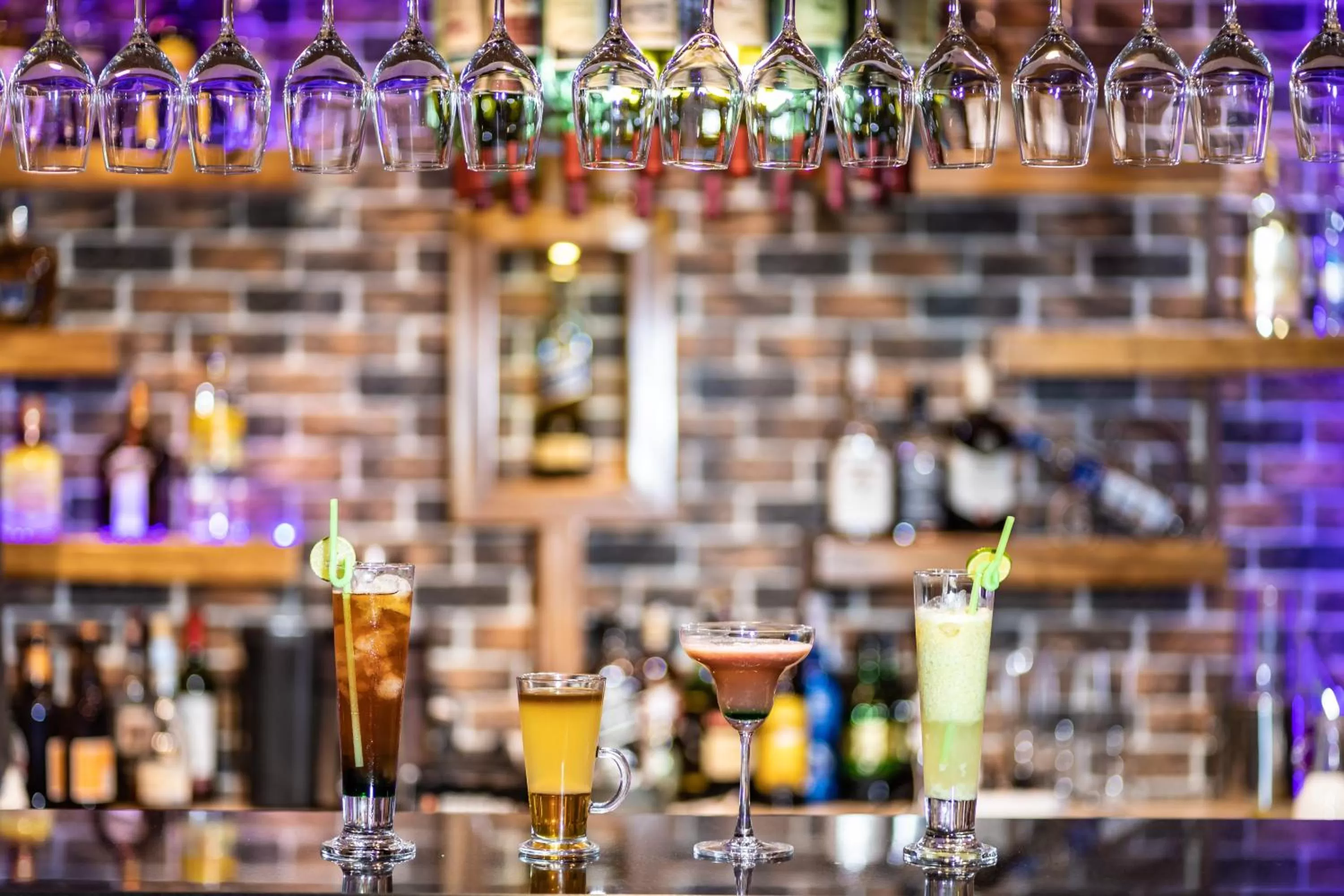 Lounge or bar in Kathmandu Garden Home