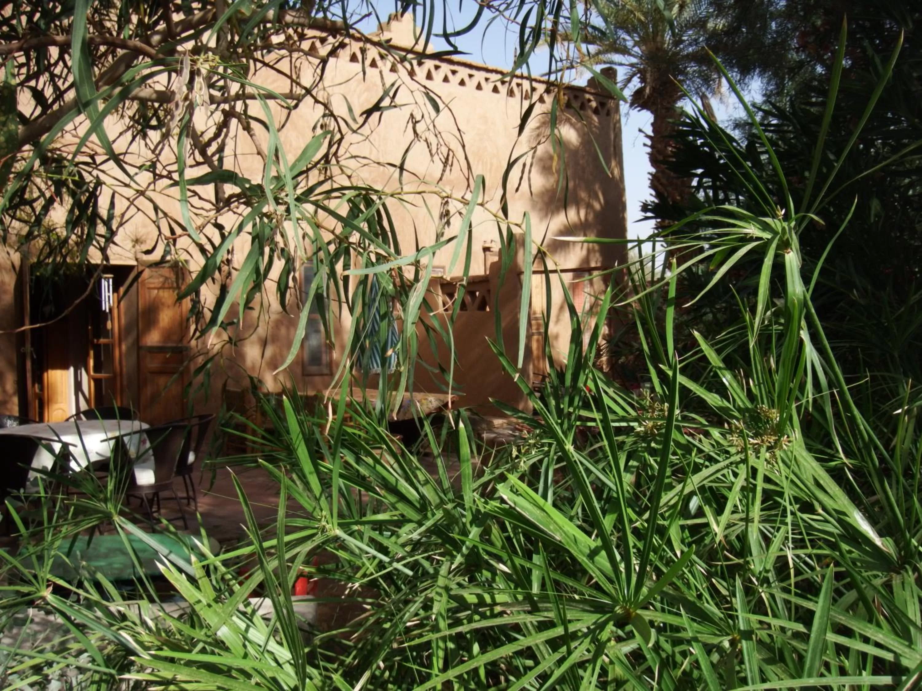 Garden, Property Building in Dar Paru