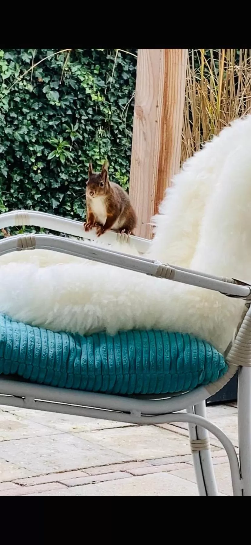 De Vijverkamer-----privé diner op de kamer mogelijk!!