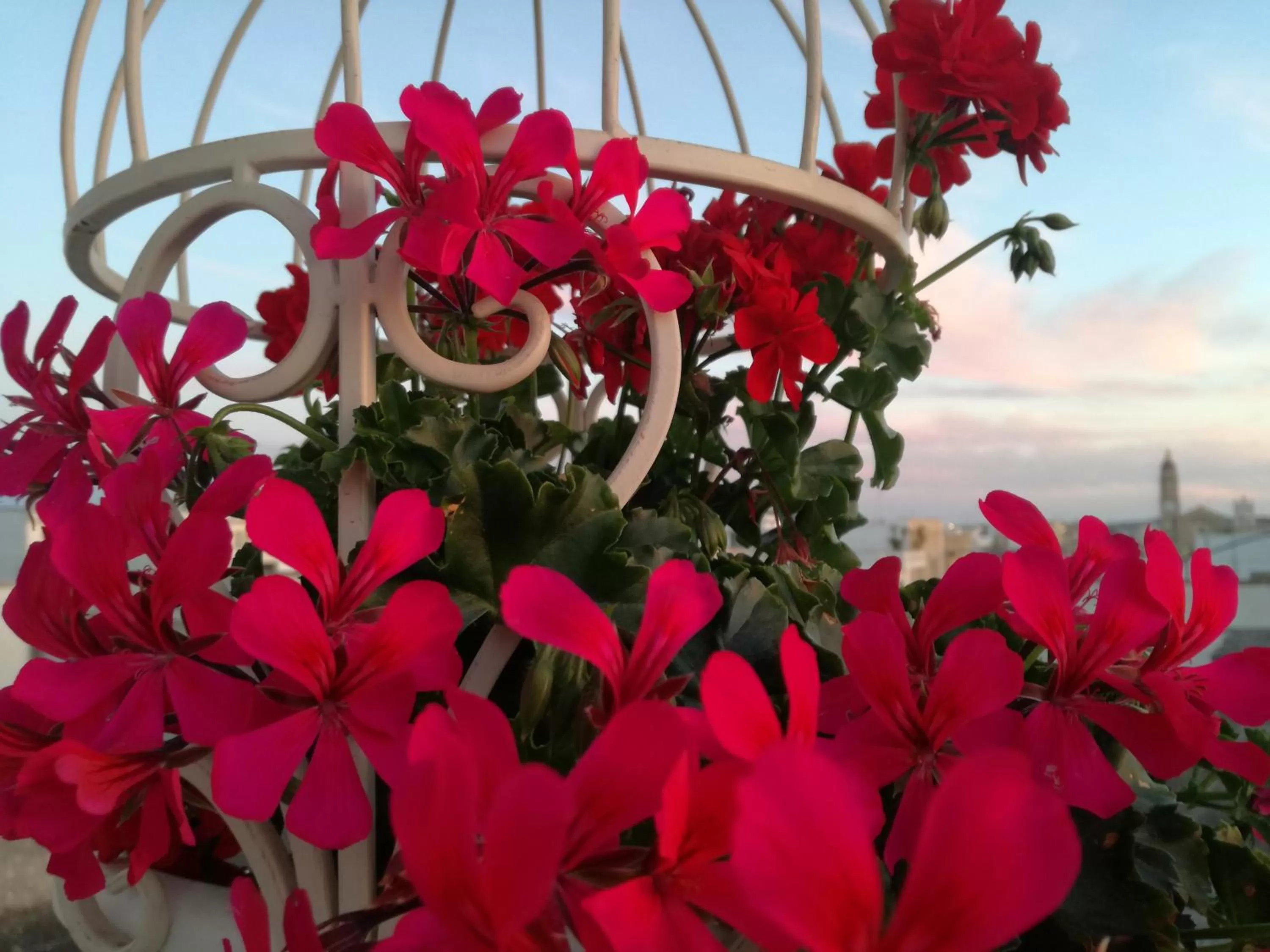 Spring in Casa del Corso