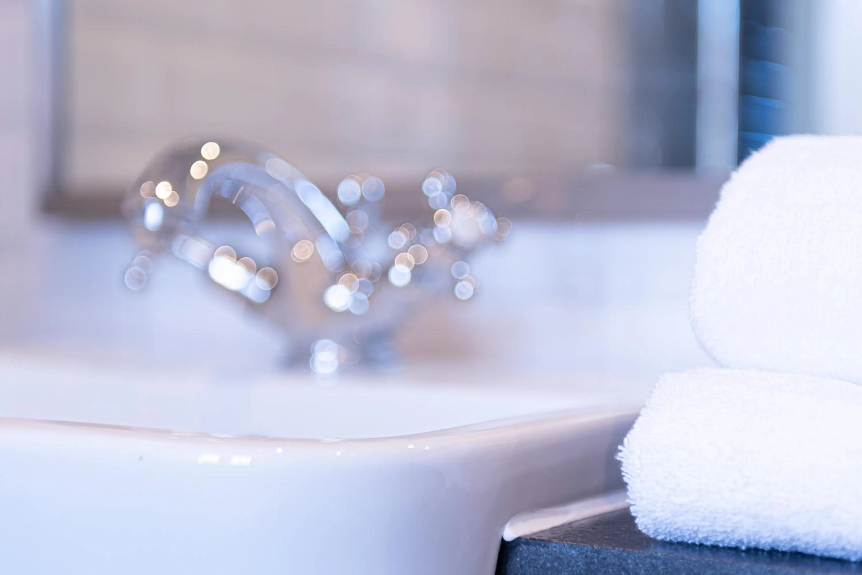 Bathroom in Gunmakers