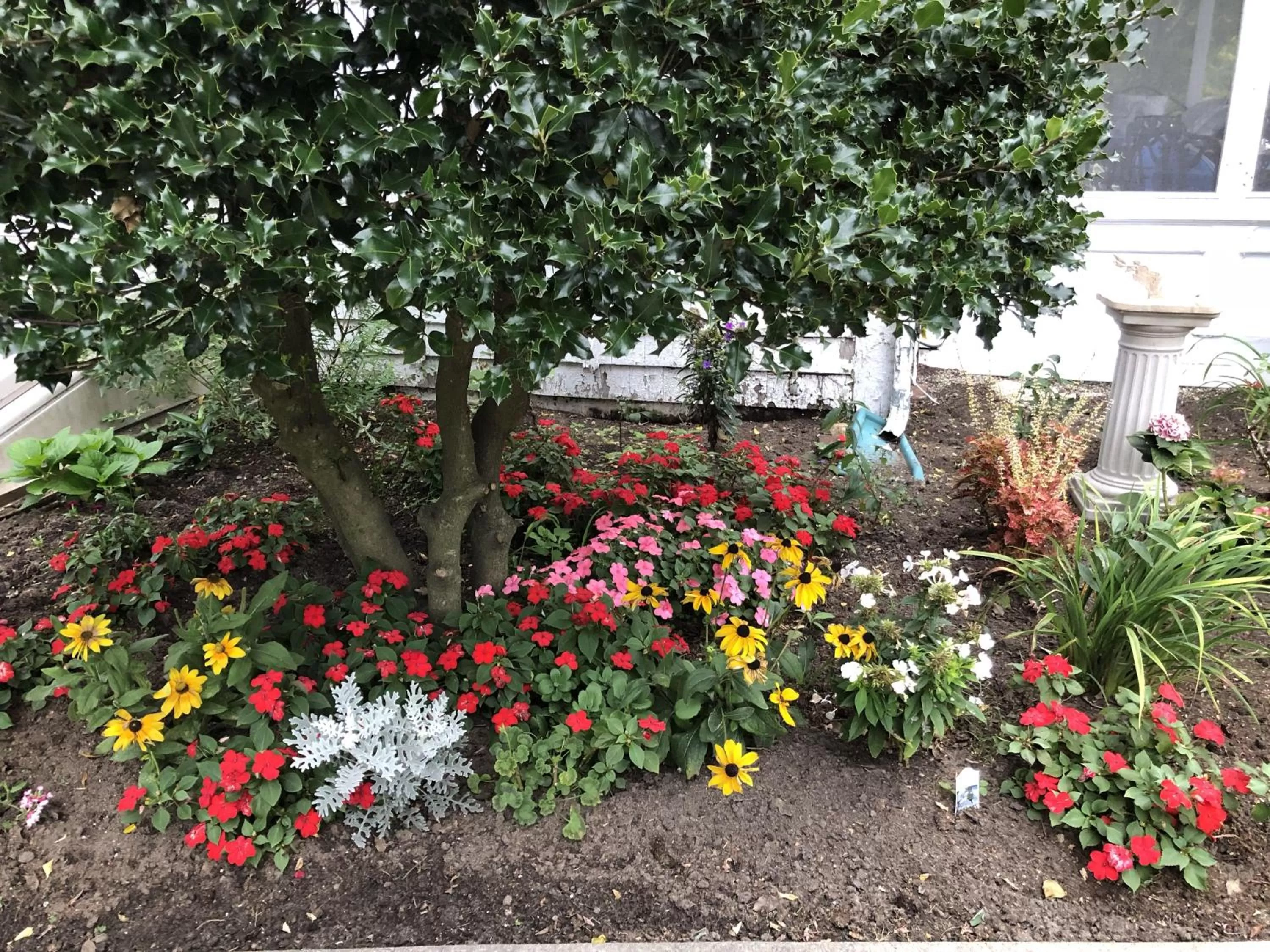 Other, Garden in Silvershell Inn