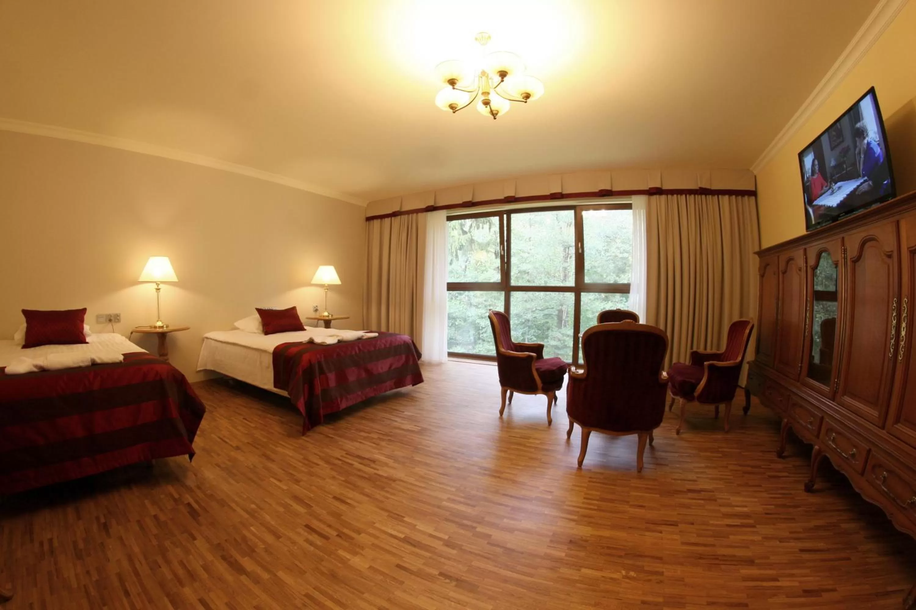 Deluxe Double Room in Hotel Mir-Jan SPA