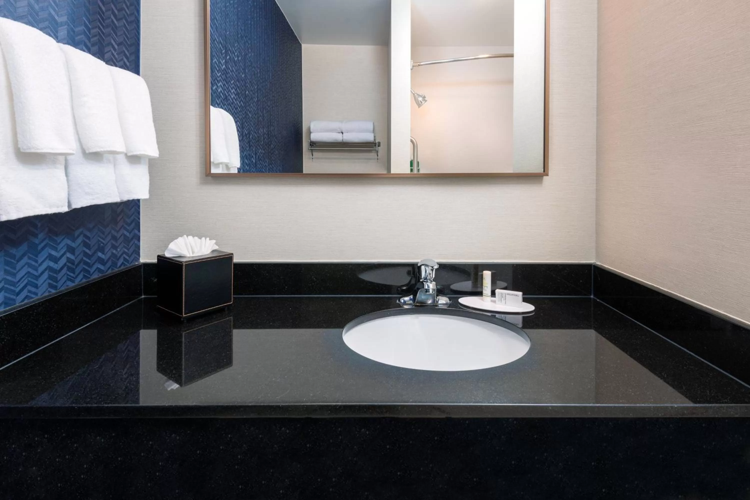 Bathroom in Fairfield Inn and Suites by Marriott Clearwater
