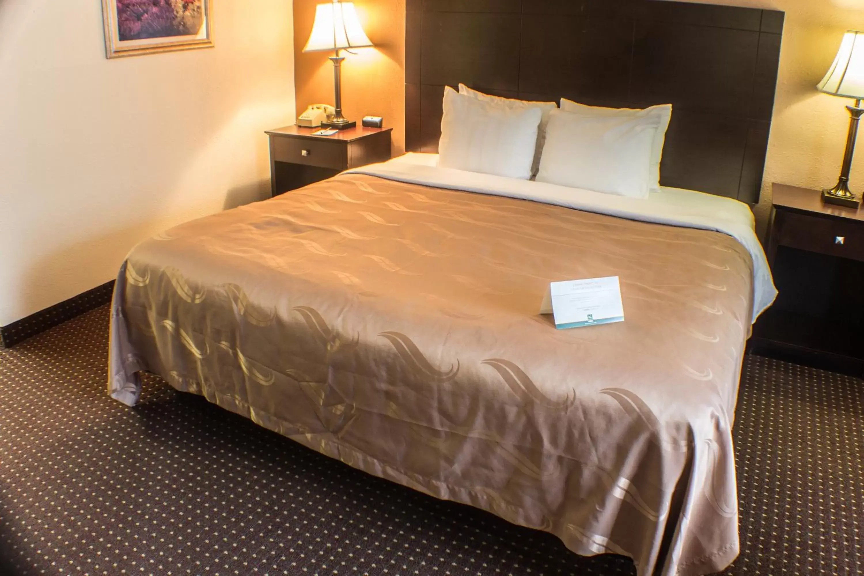 Standard King Room - Non-Smoking- Not Pet Friendly in Quality Inn & Suites Erie near Casino Standard King Room - Non-Smoking- Not Pet Friendly in Quality Inn & Suites Erie near Casino