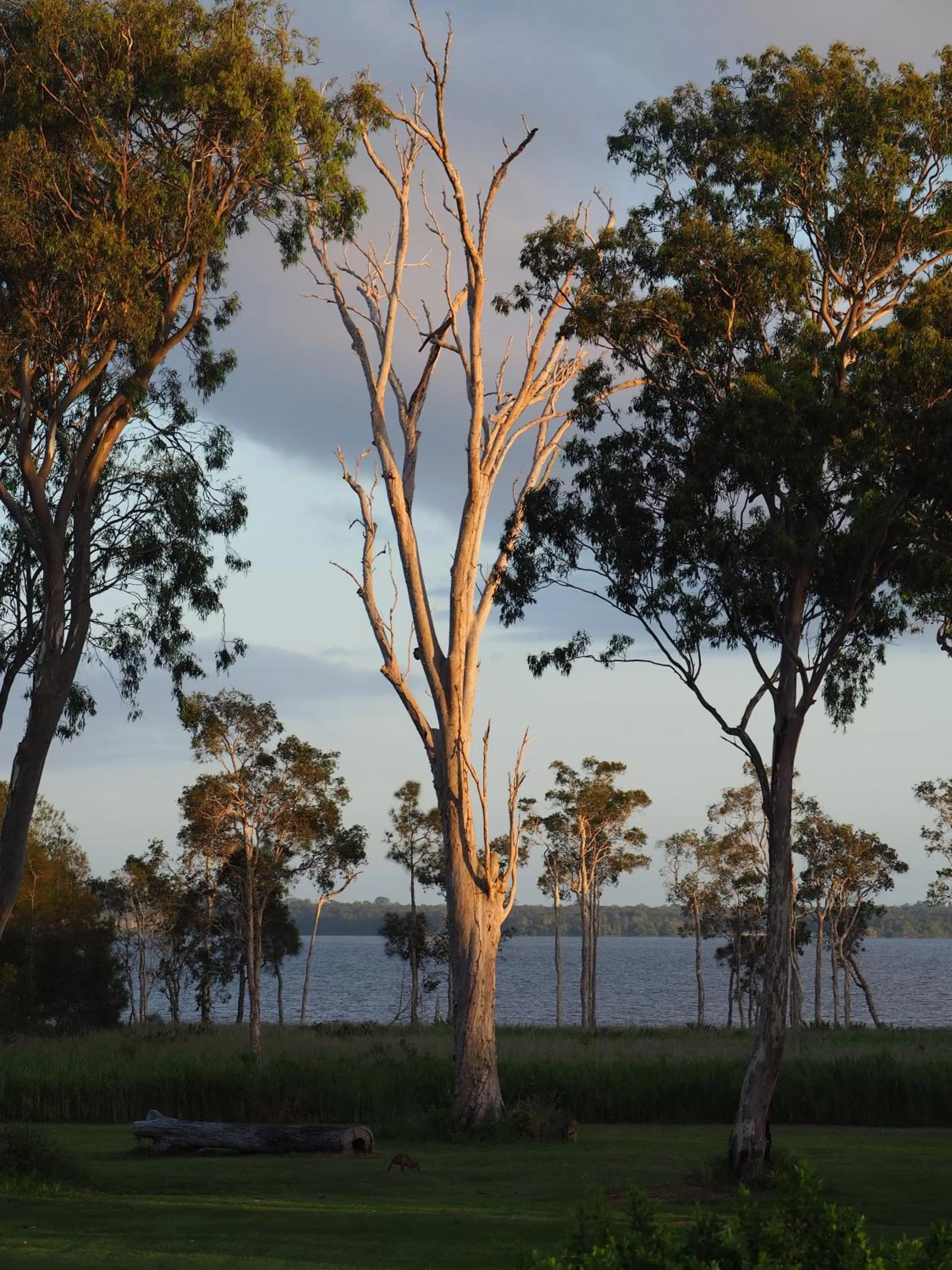 Lake view in Lake Weyba Cottages Noosa