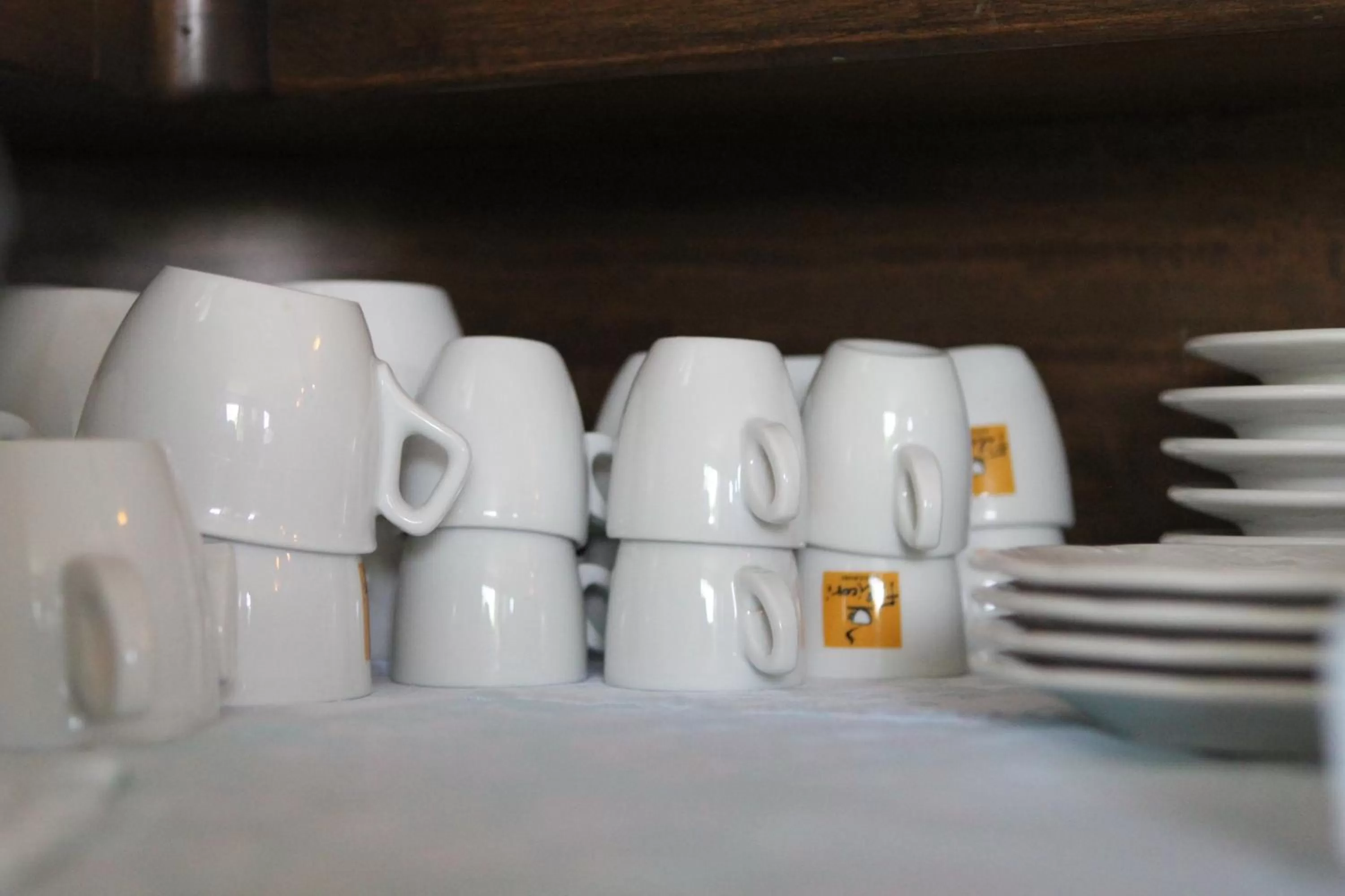 Buffet breakfast in Ascot Lodging