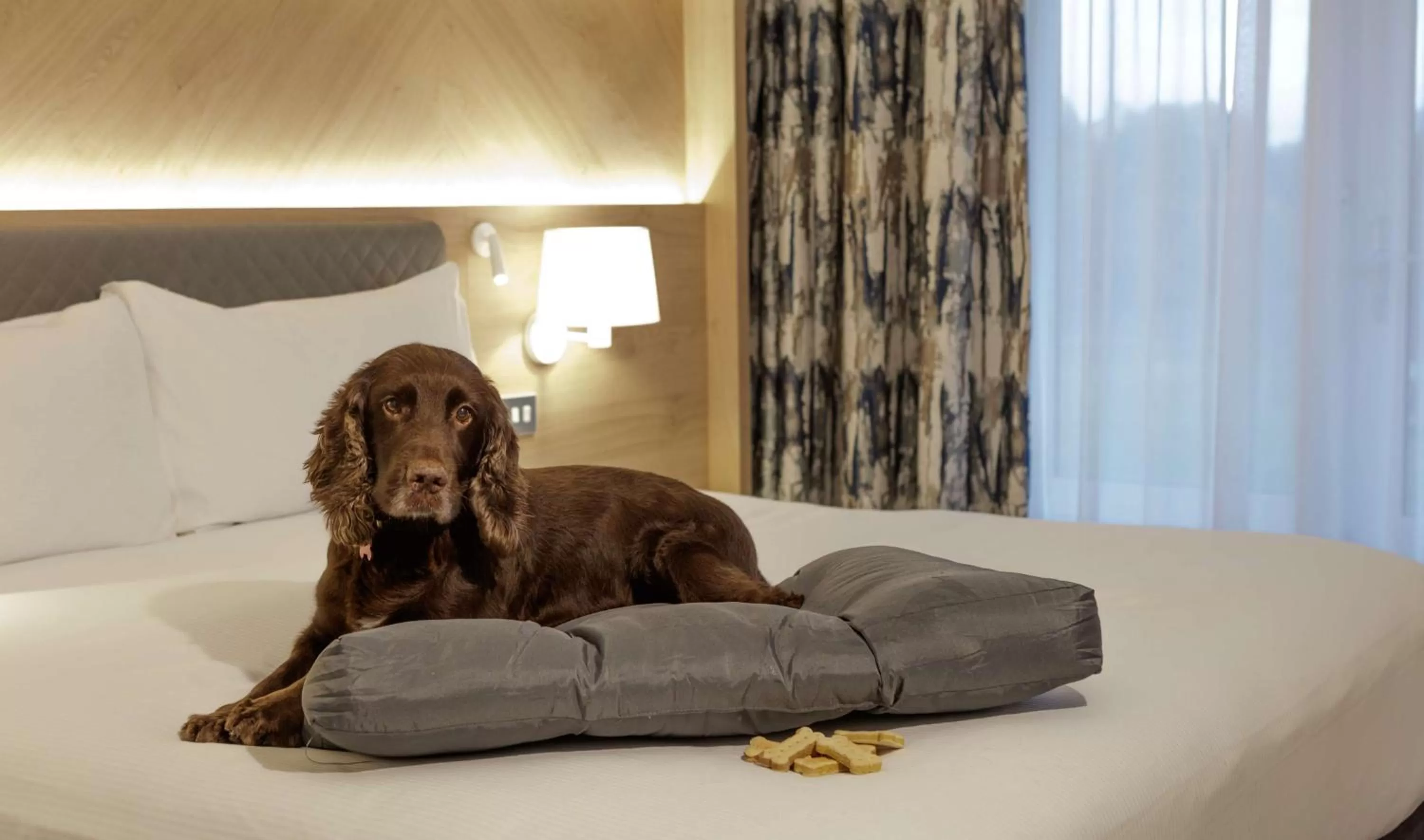 Bed in Hilton Cobham