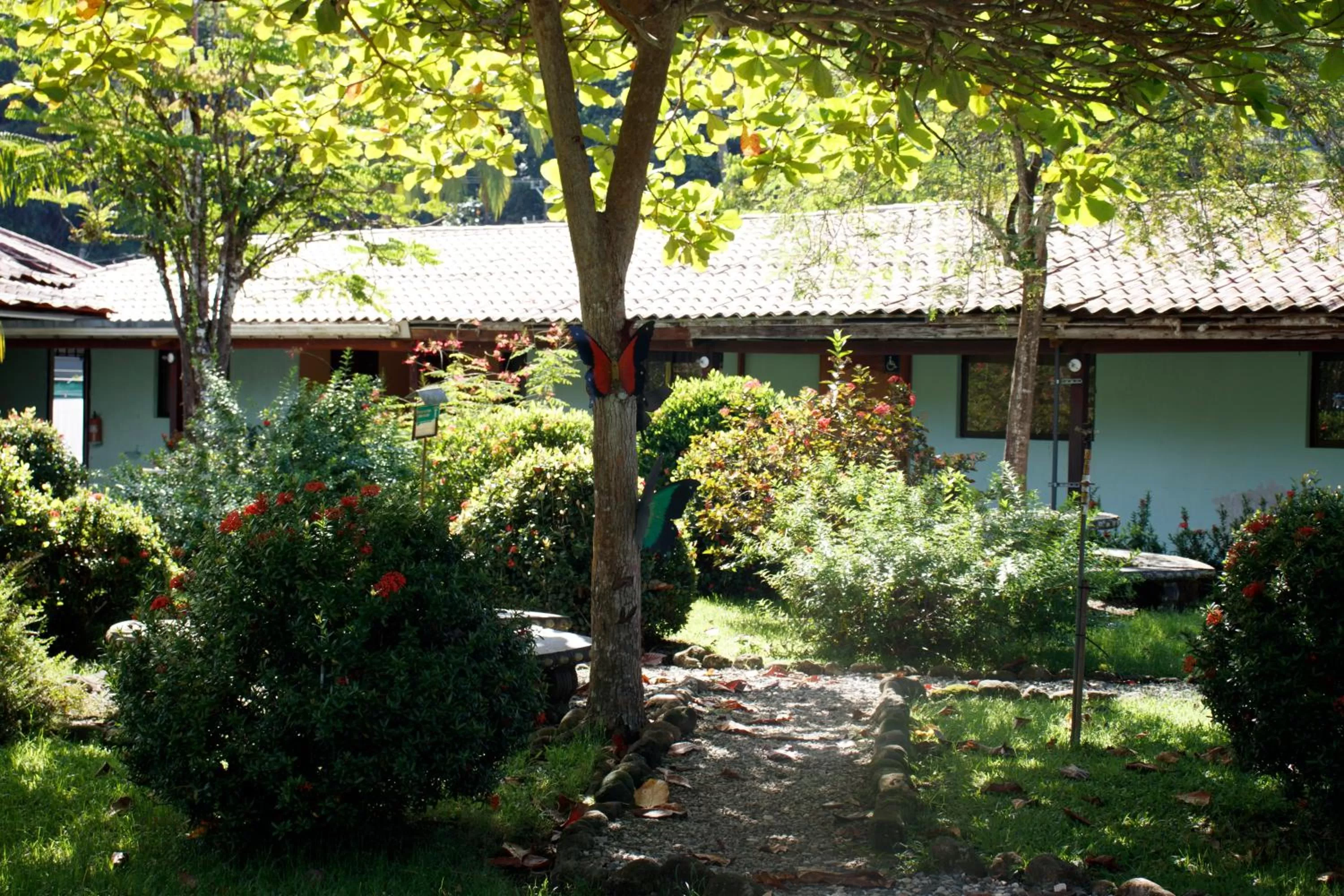 Day, Property Building in Hotel Samoa del Sur