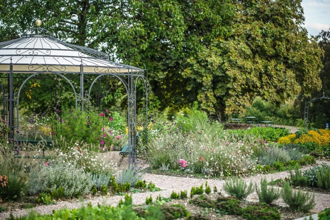 Summer in Bad Schauenburg