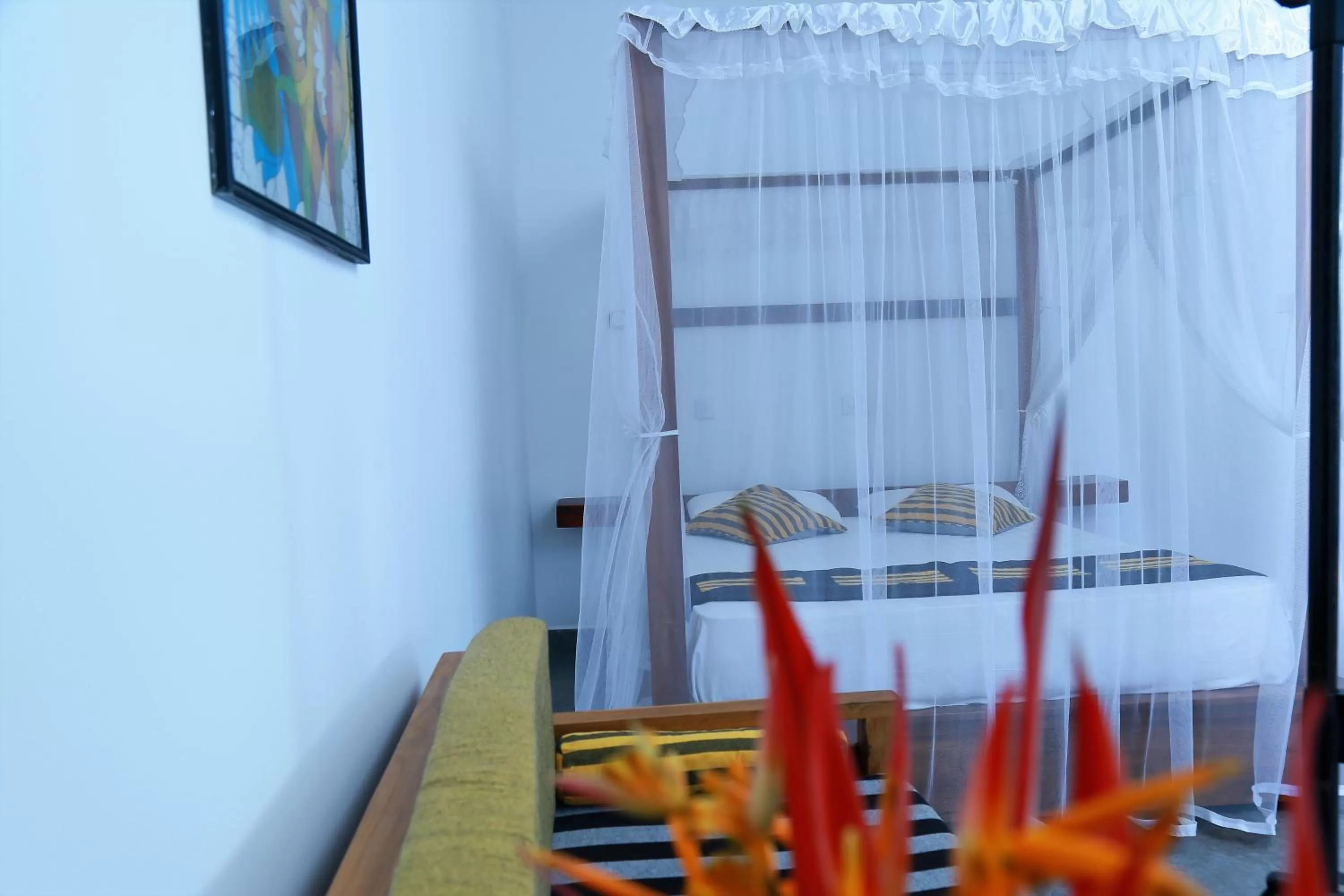 Photo of the whole room in SriMany