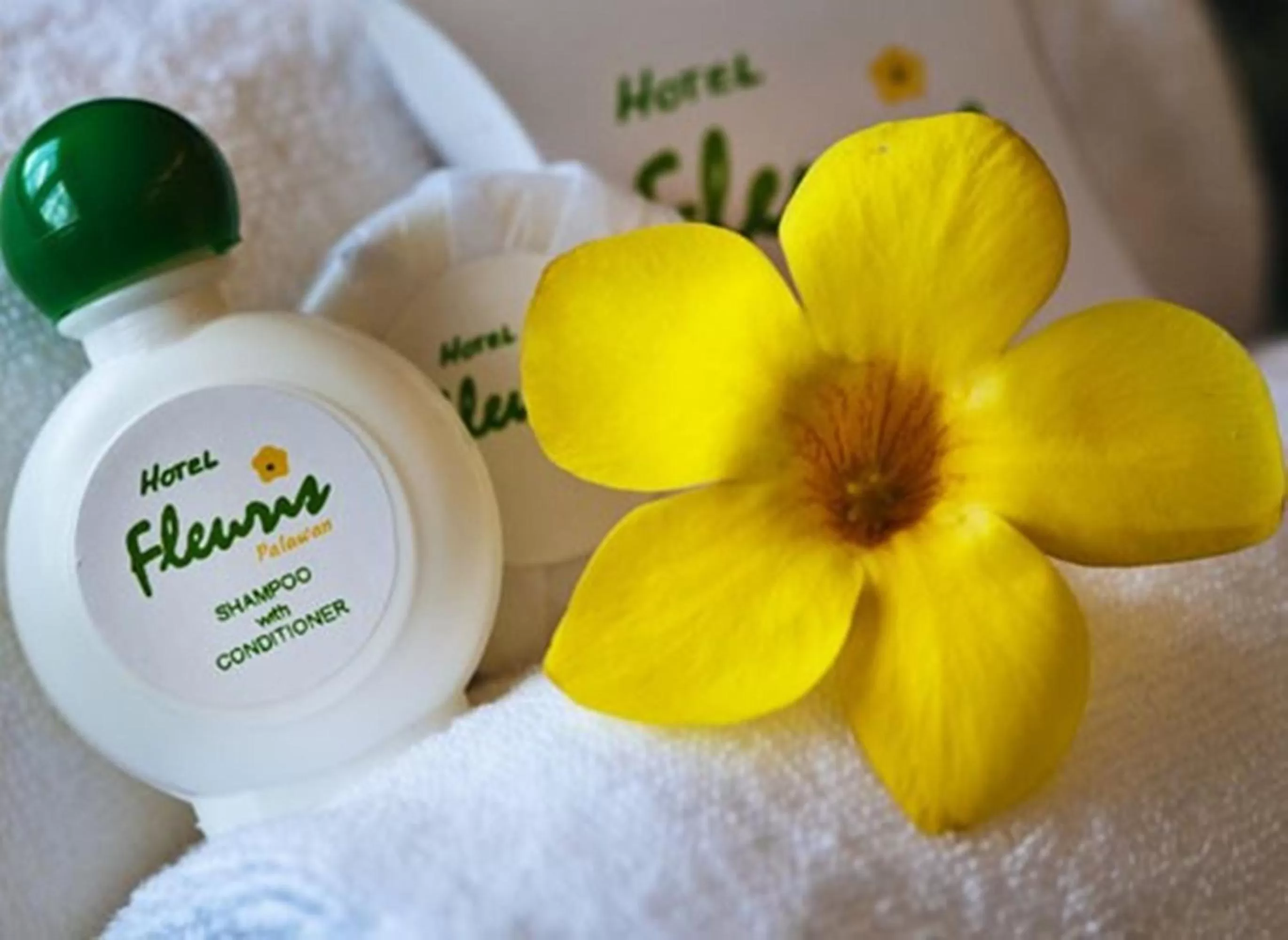 Bathroom in Hotel Fleuris