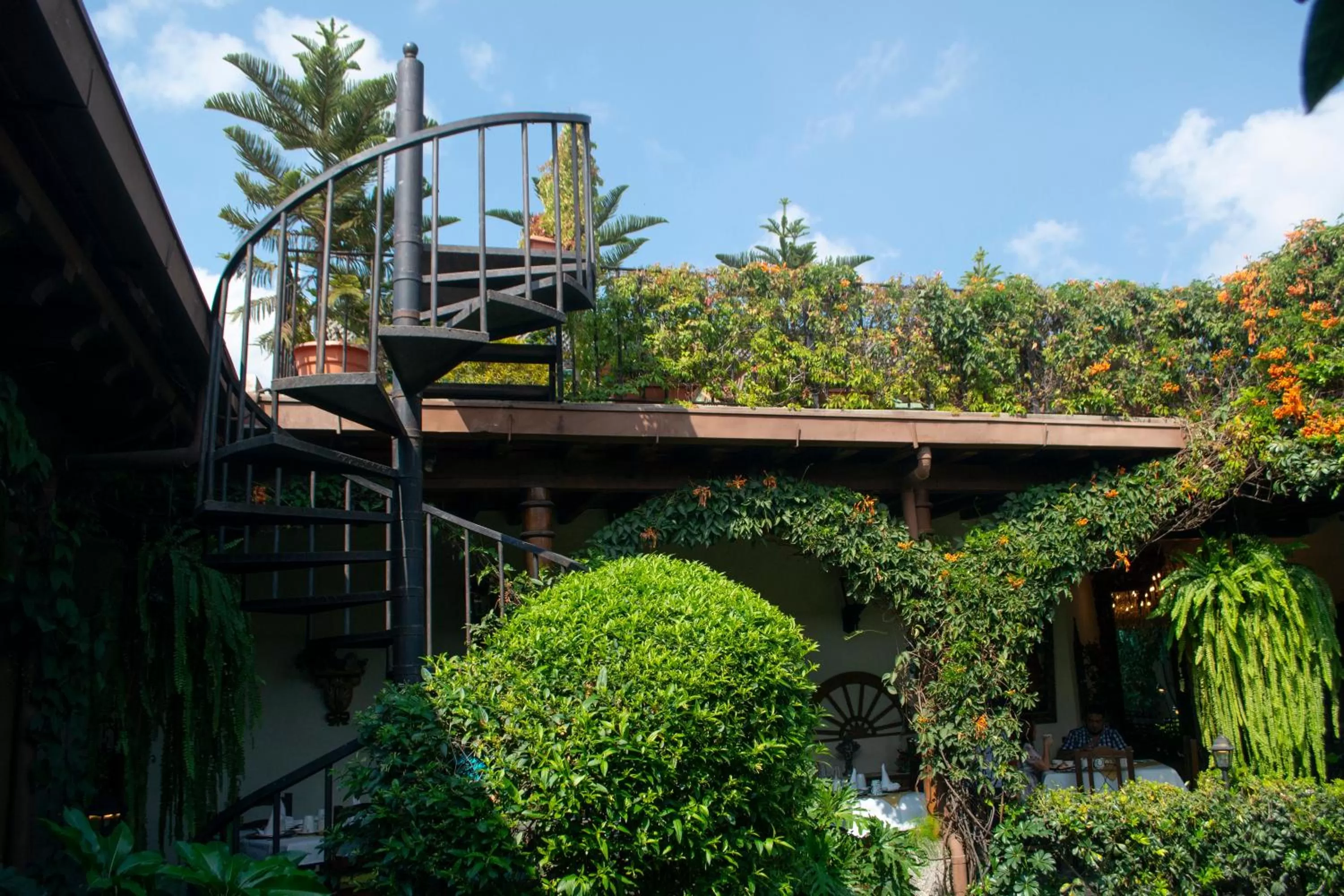 Patio in Hotel La Catedral