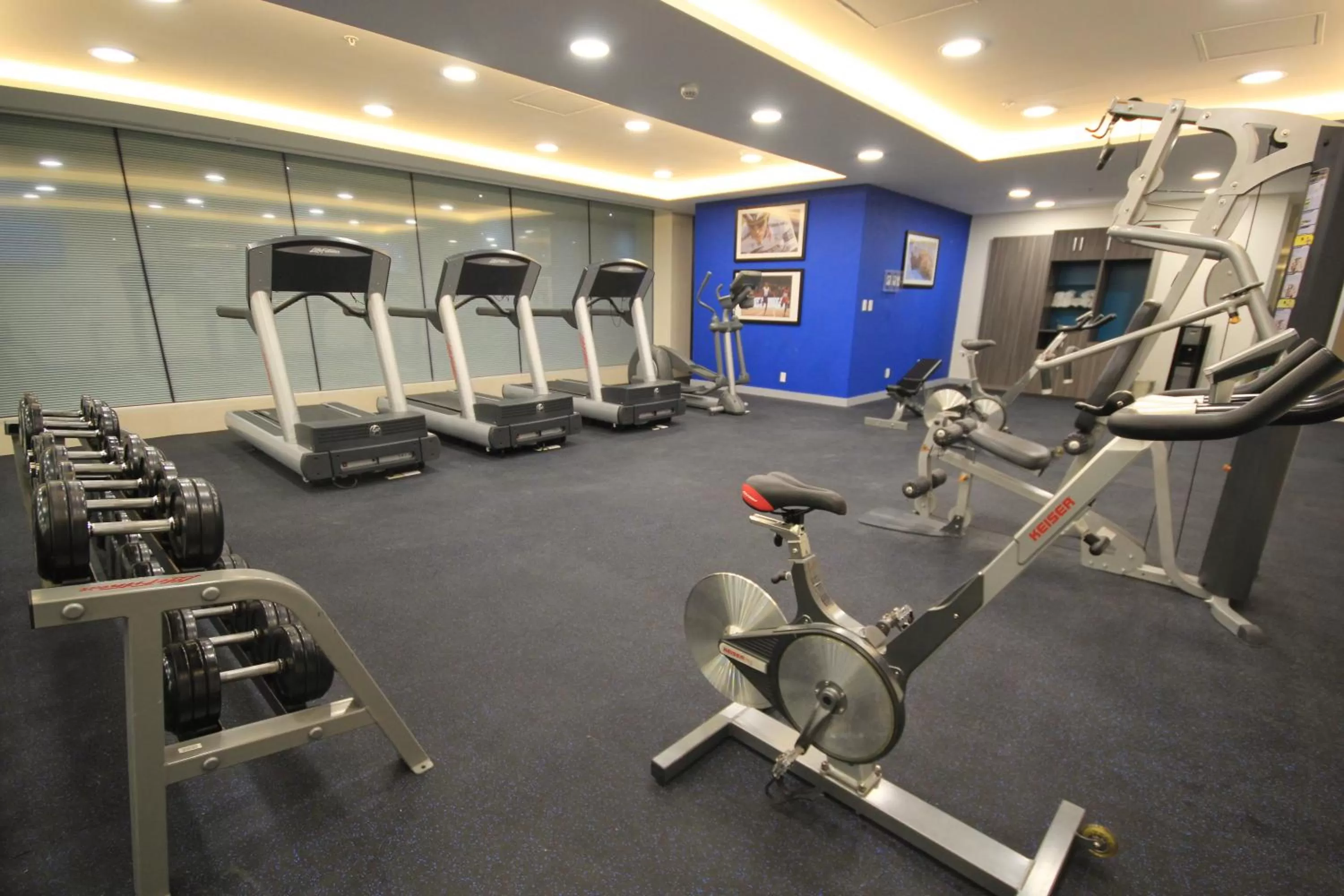 Fitness centre/facilities in Holiday Inn & Suites Plaza Mayor by IHG
