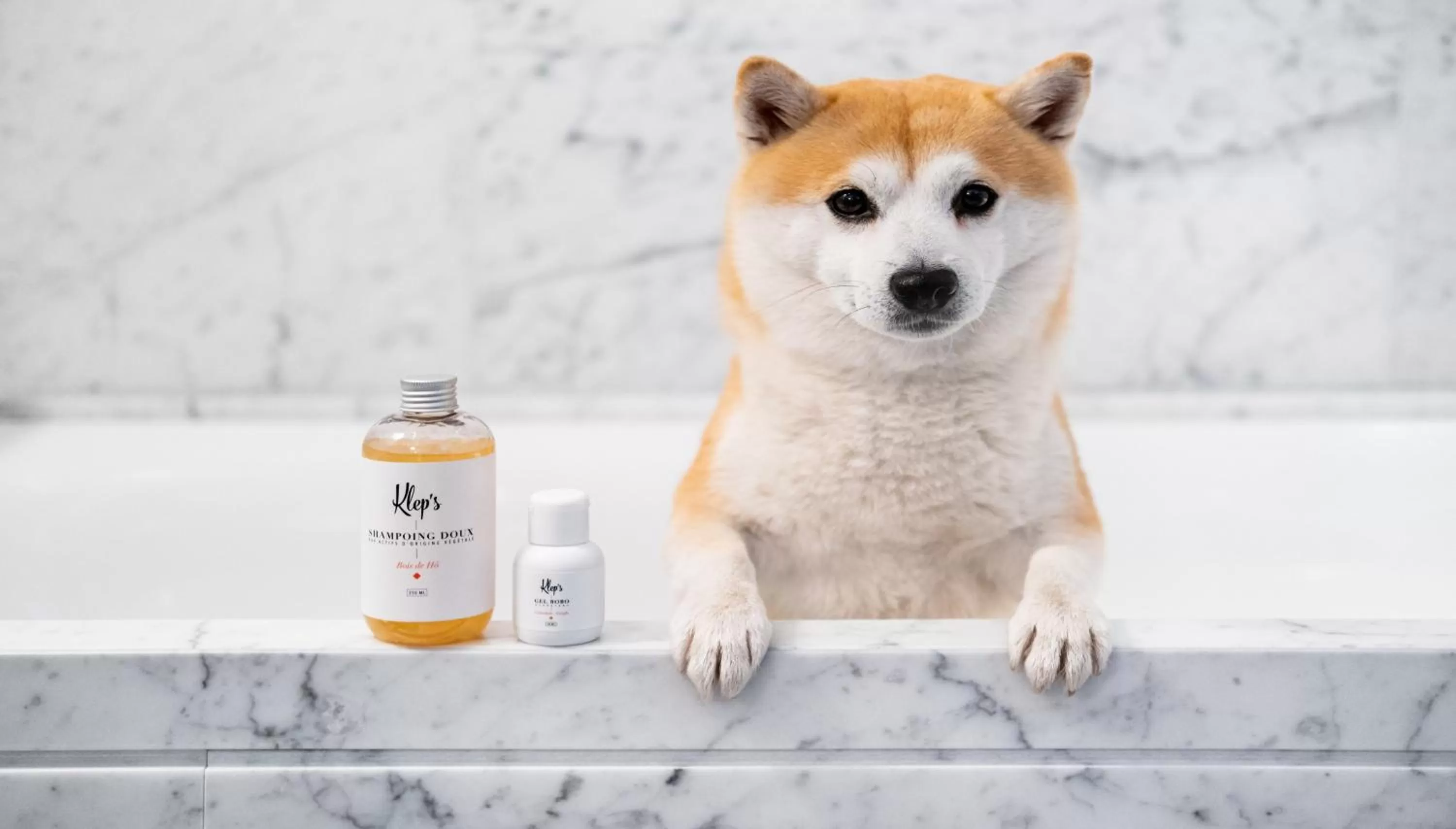 Other in Kimpton - St Honoré Paris by IHG