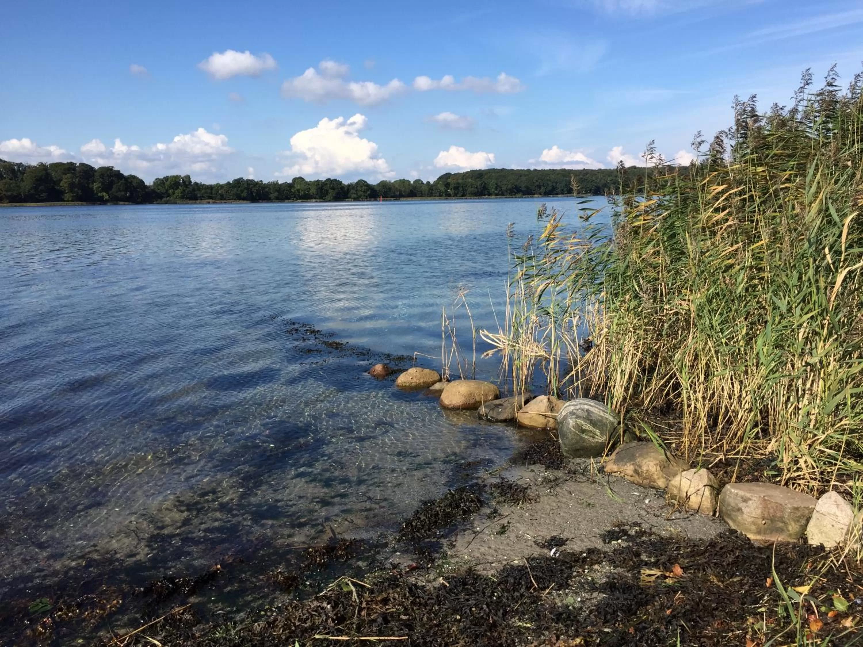 Natural landscape in Rønhave