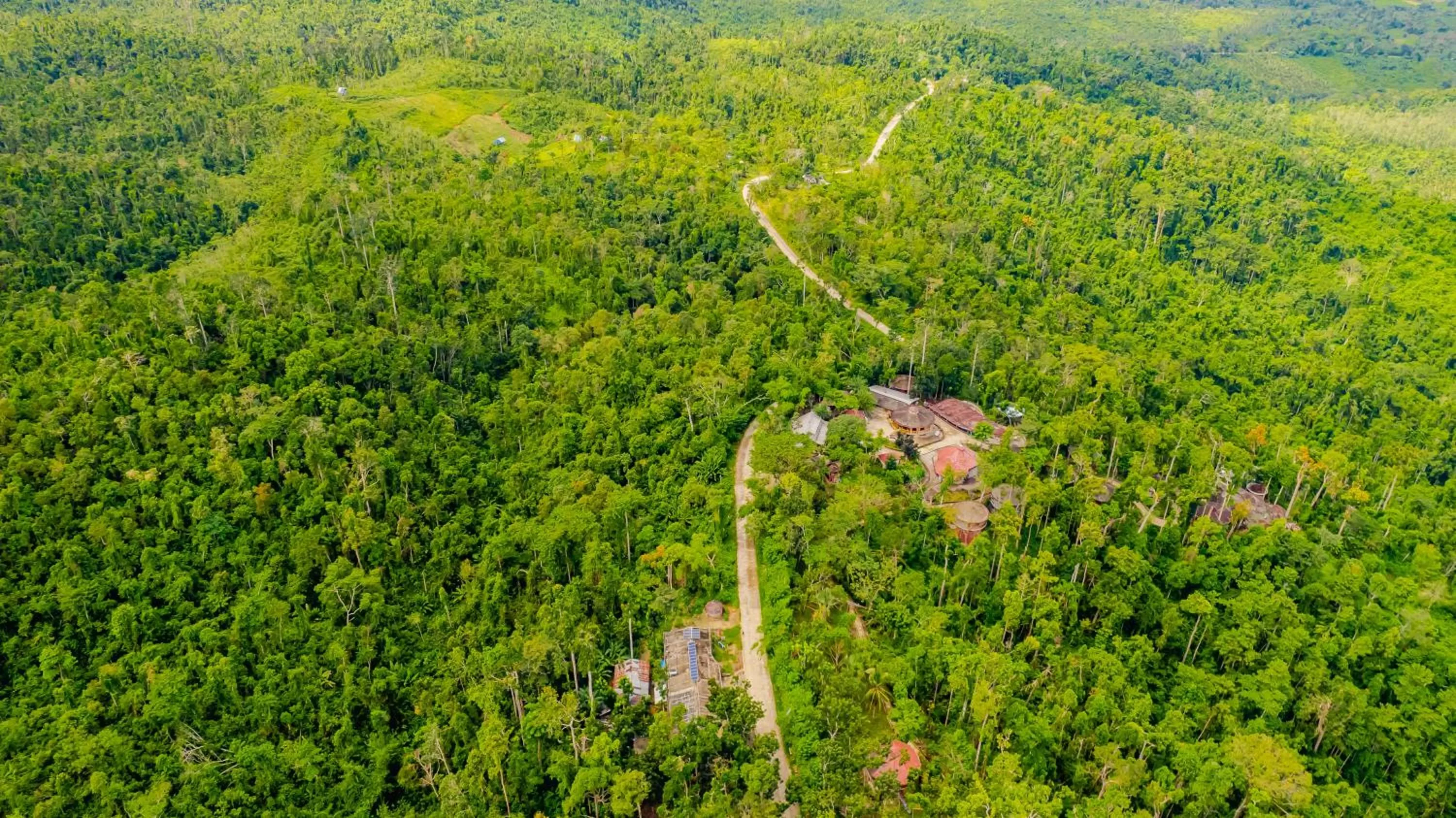 View (from property/room) in Atremaru Jungle Retreat