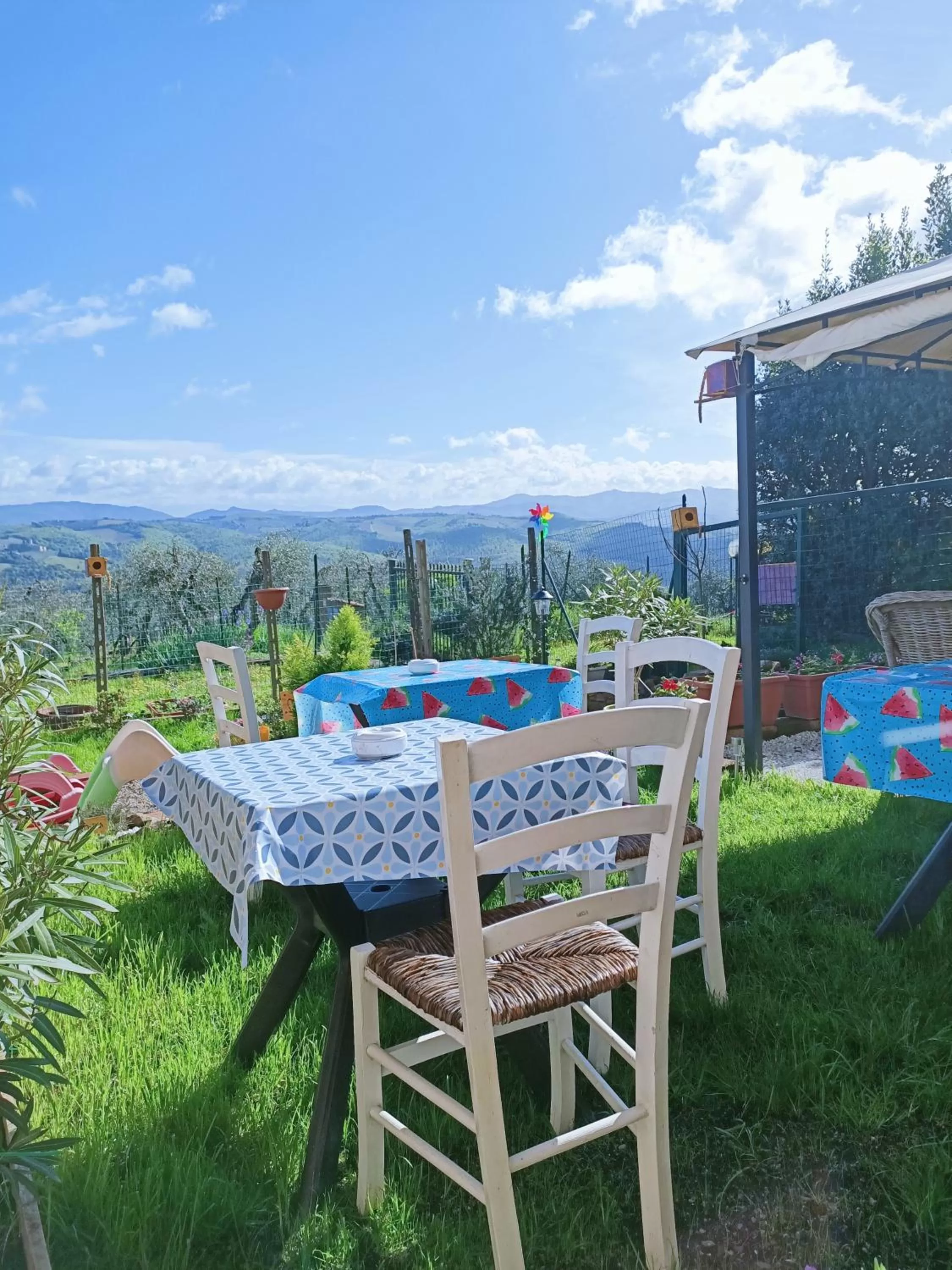 Garden in B&B Un posto nel mondo