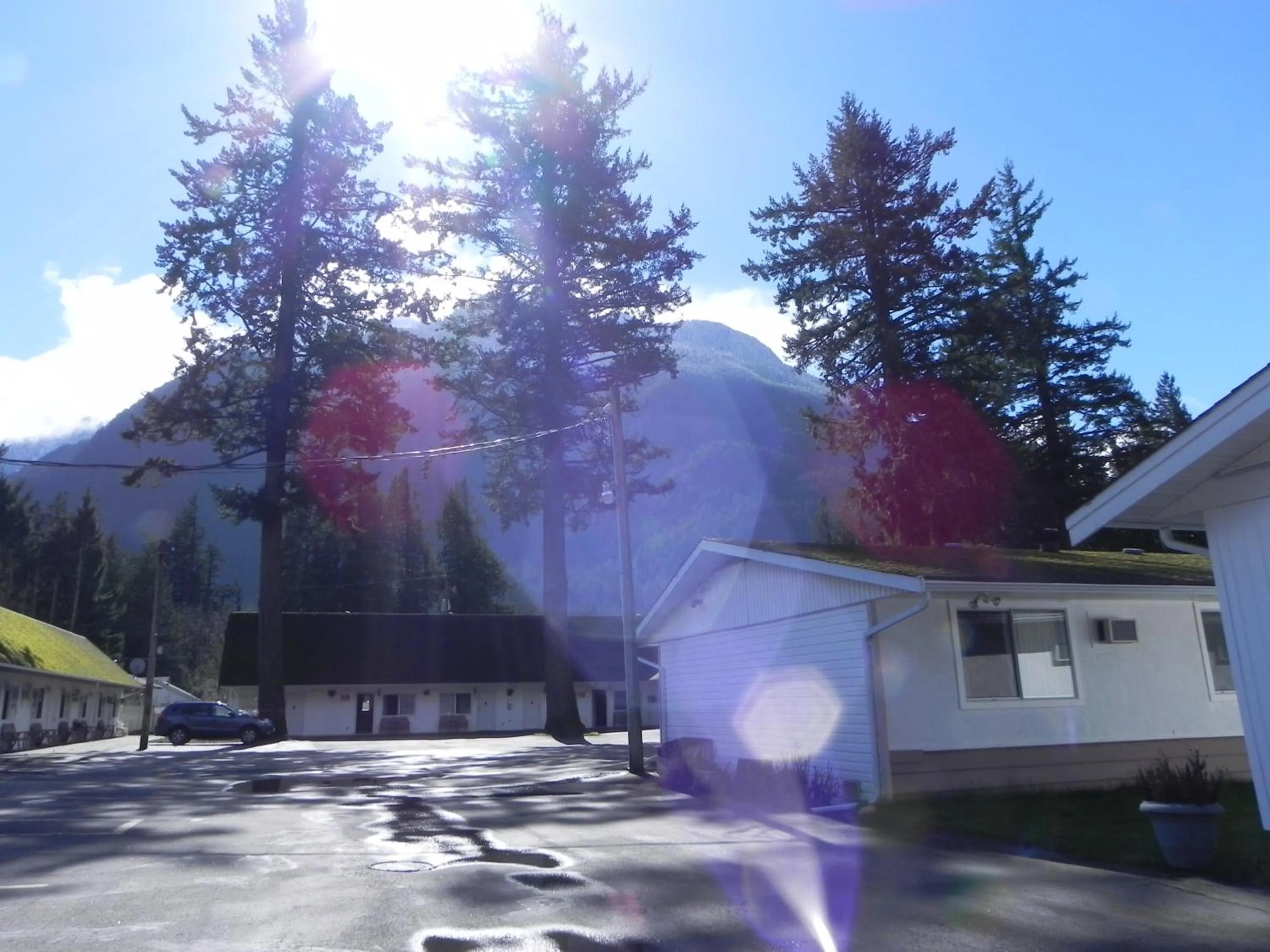 Spring in Skagit Motel