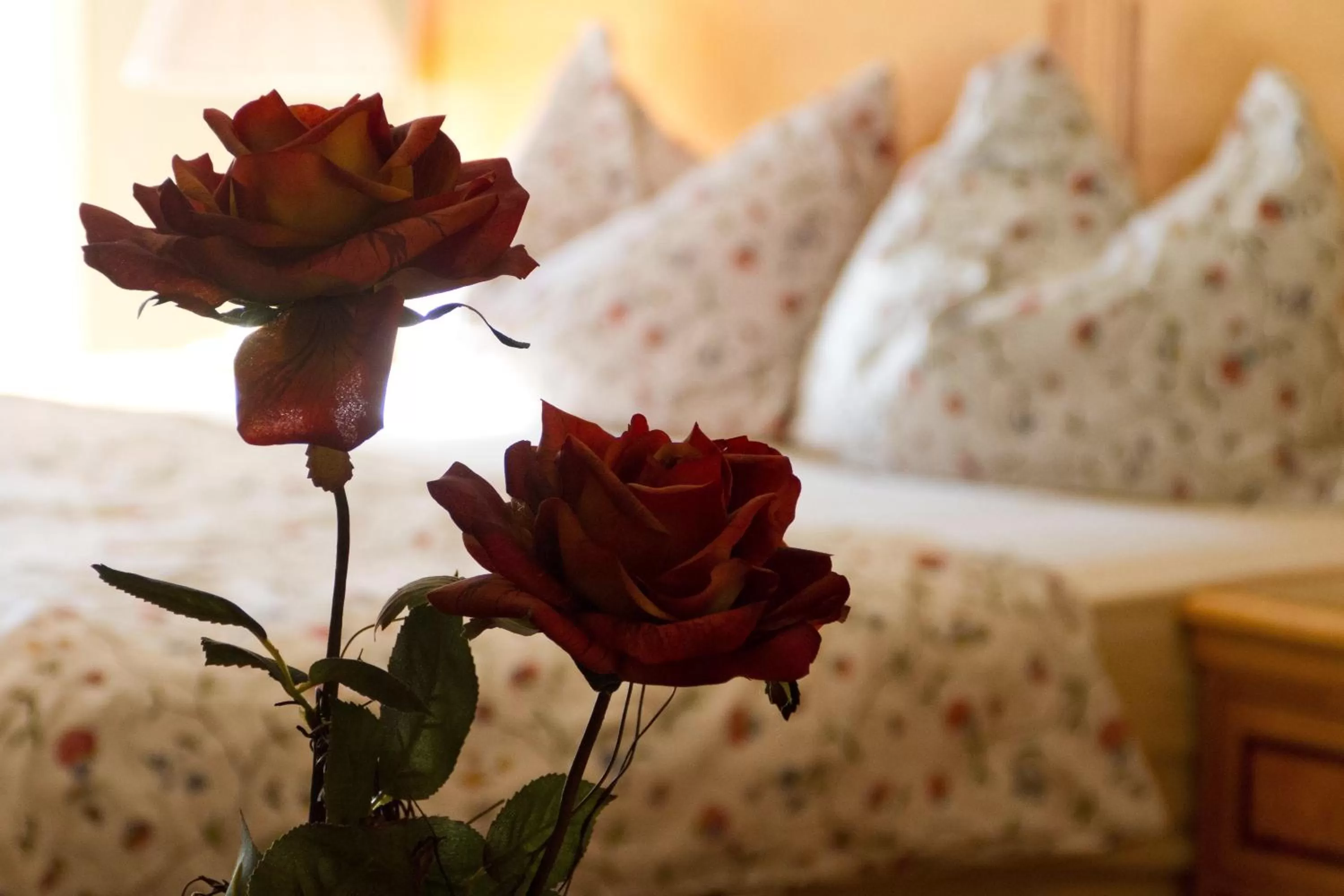 Bedroom in Hotel Cafe Frida