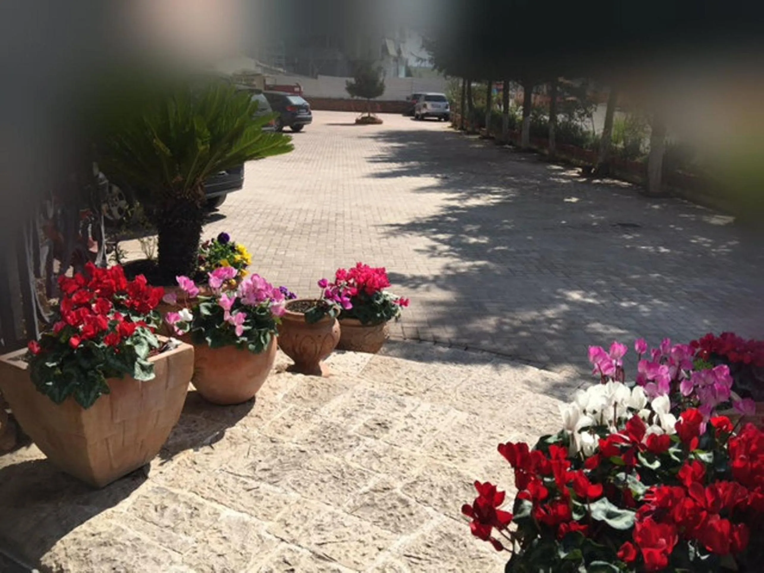 Business facilities in Dinasty Hotel