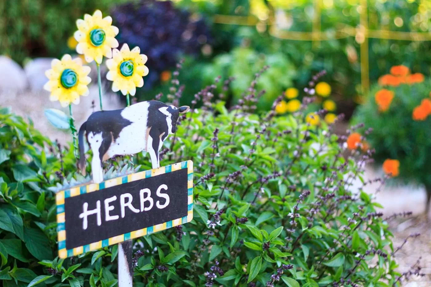 Garden in Sunflower Hill Inn