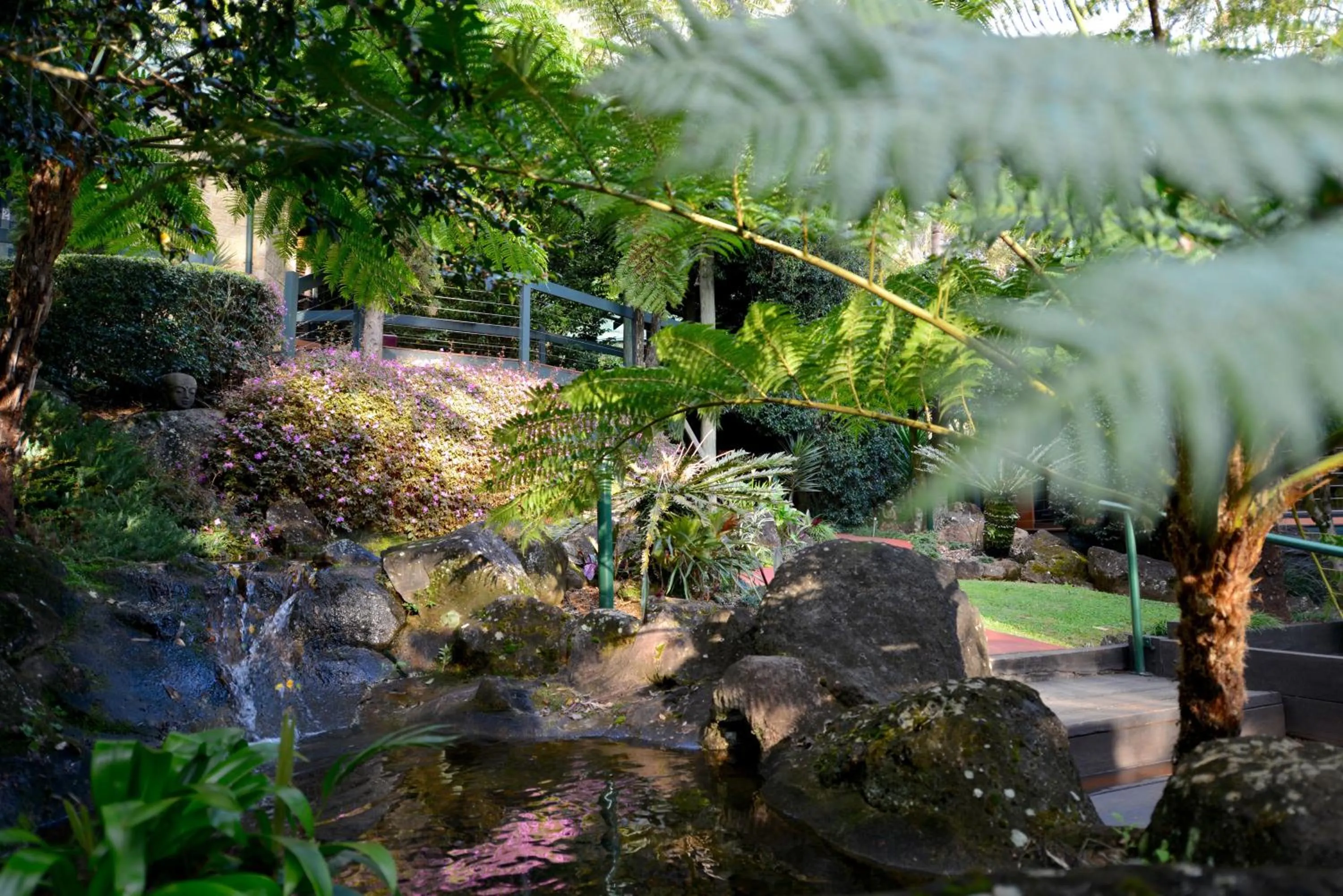 Spring in Escarpment Retreat & Day Spa for Couples