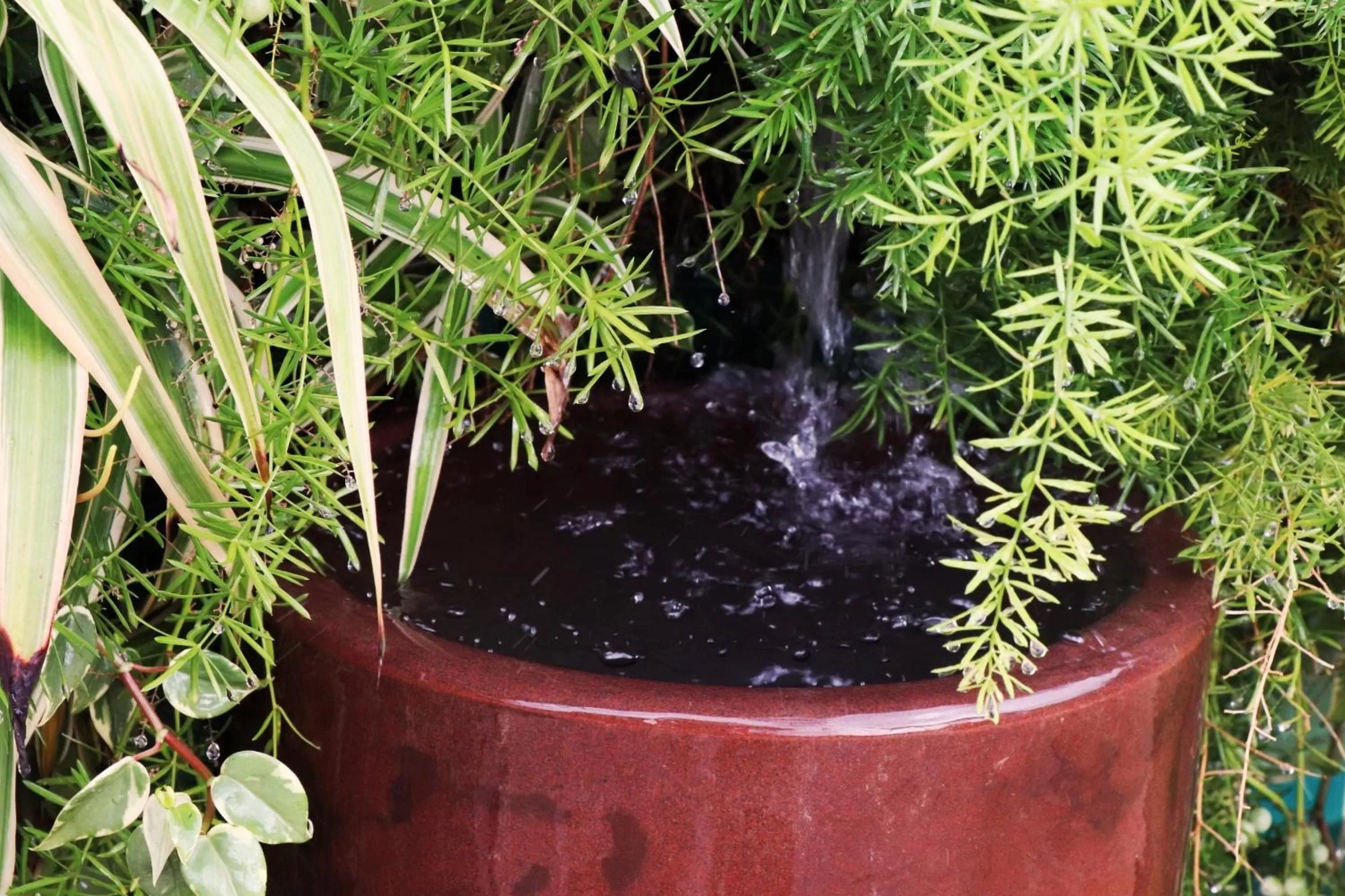 Decorative detail in Pousada Santa Thereza