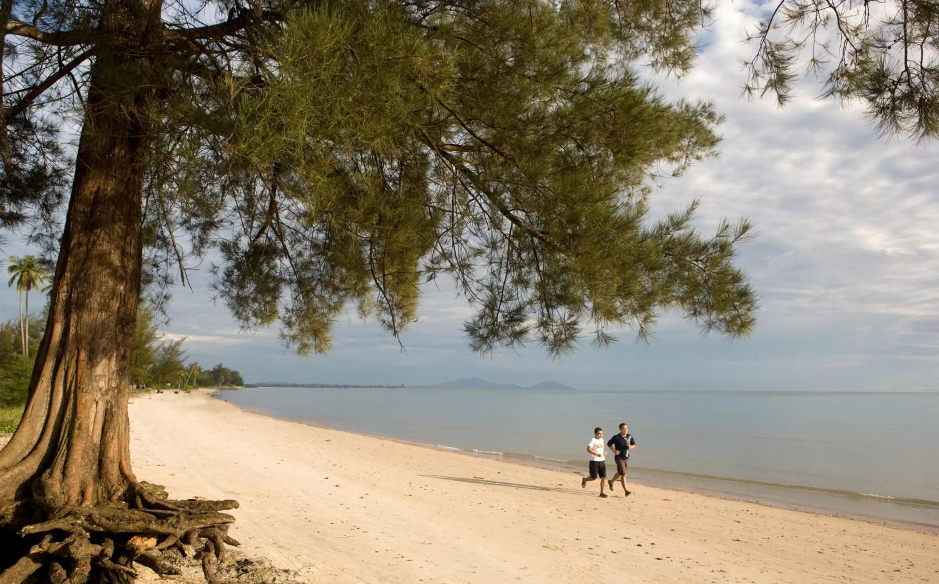 Beach in Novotel Bangka Hotel & Convention Center