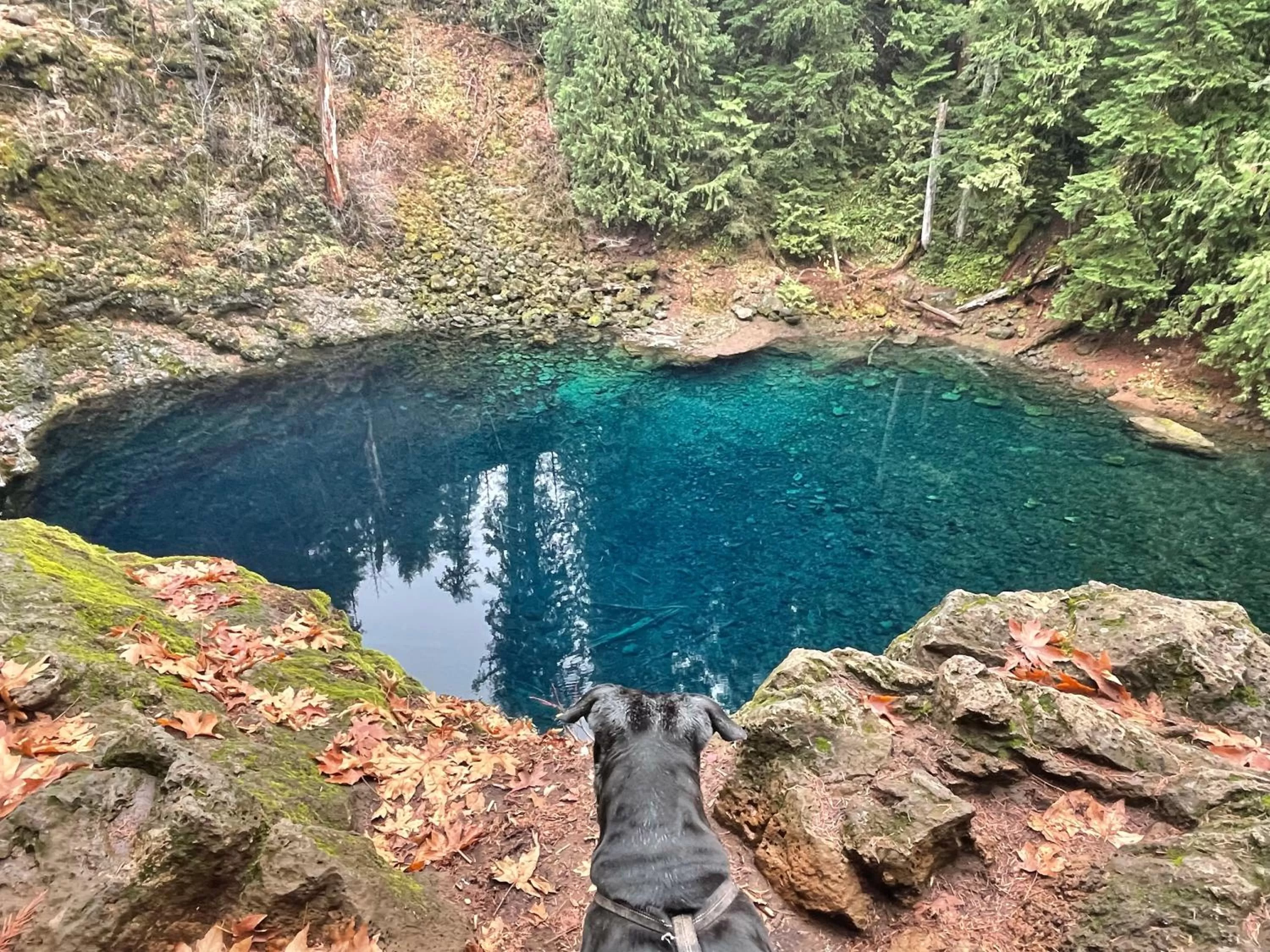 Activities in Smith Rock Resort