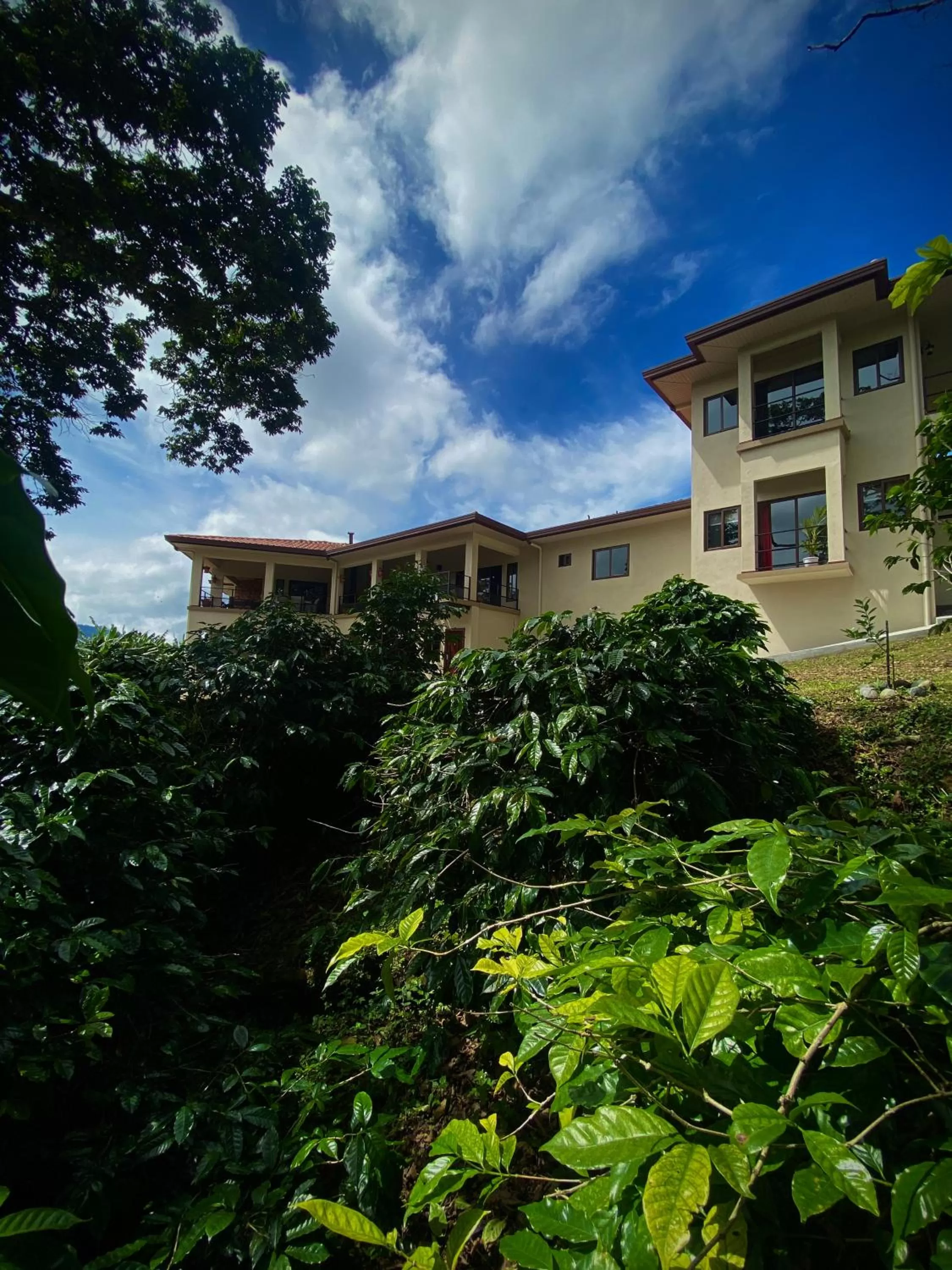 Property Building in Inn The Coffeepot - Boutique Hotel