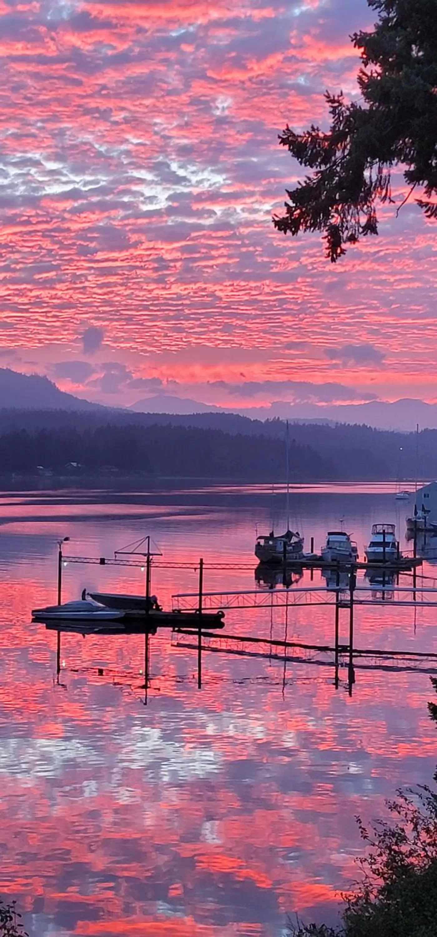 Area and facilities in Raven Point Inn