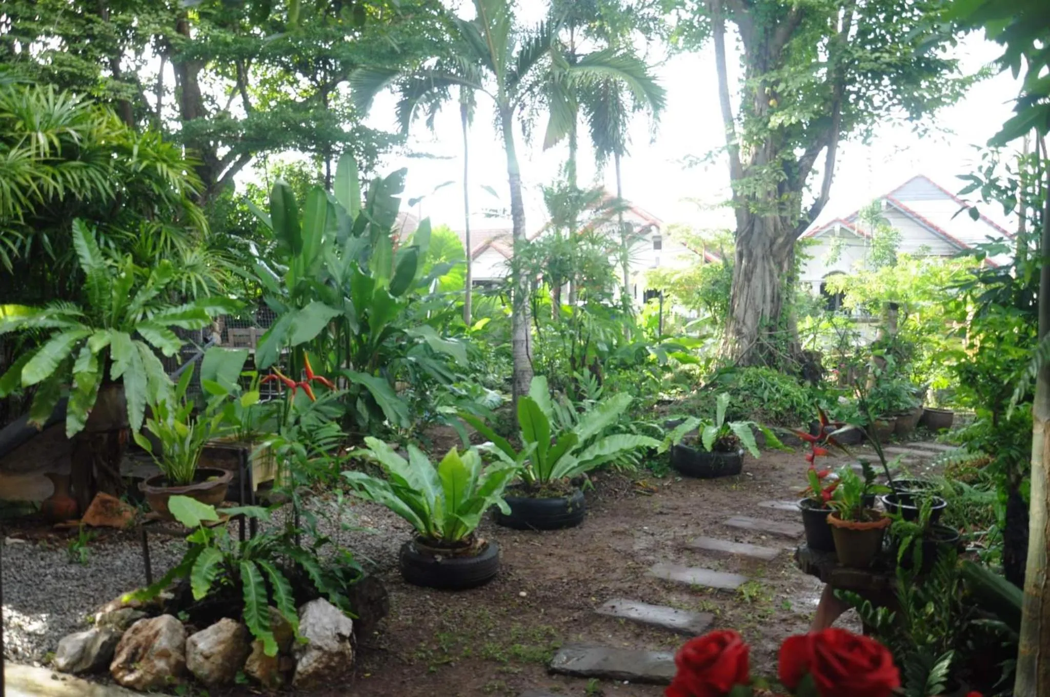 Natural landscape in Eat n Sleep