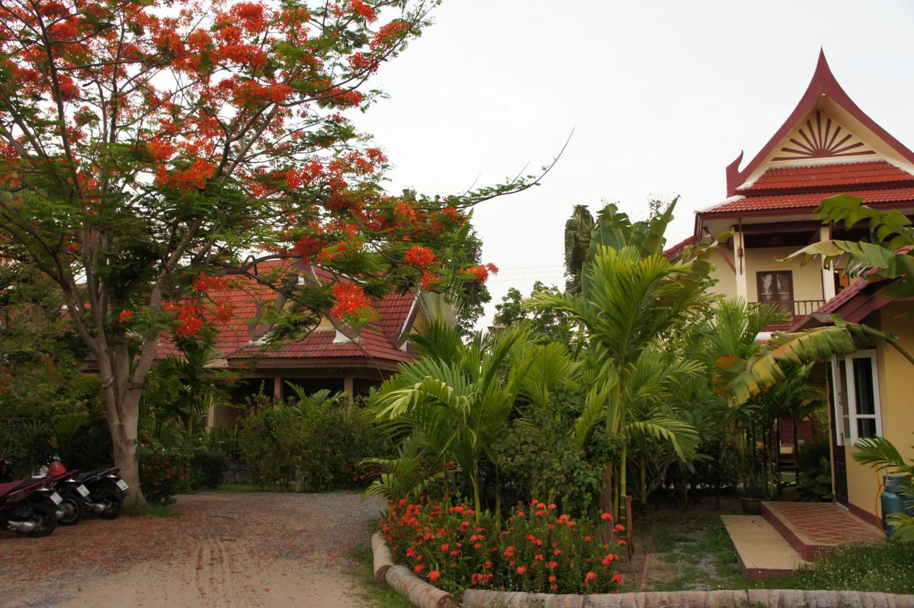 Area and facilities in Palm Village