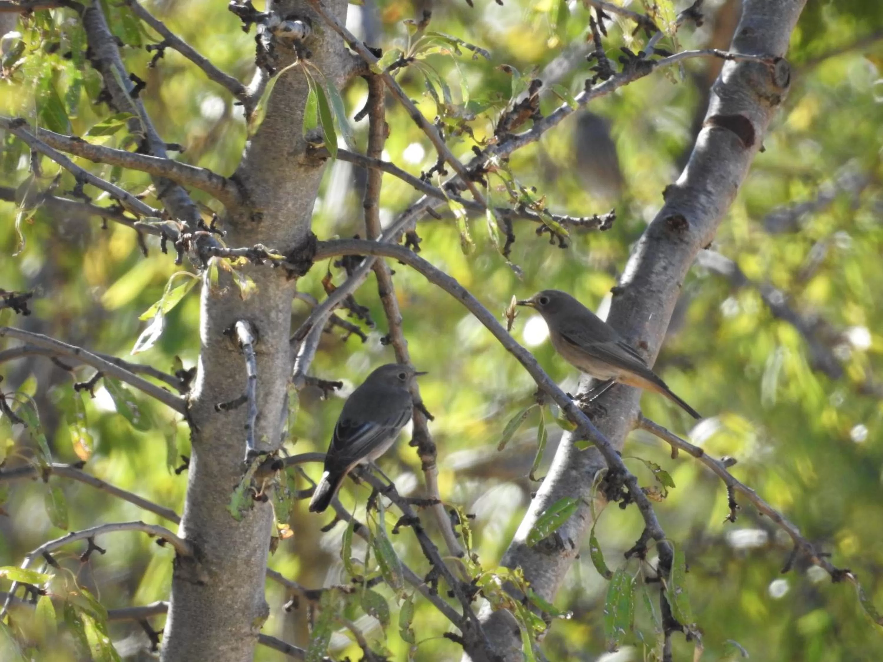 Activities in Finca El Romeral