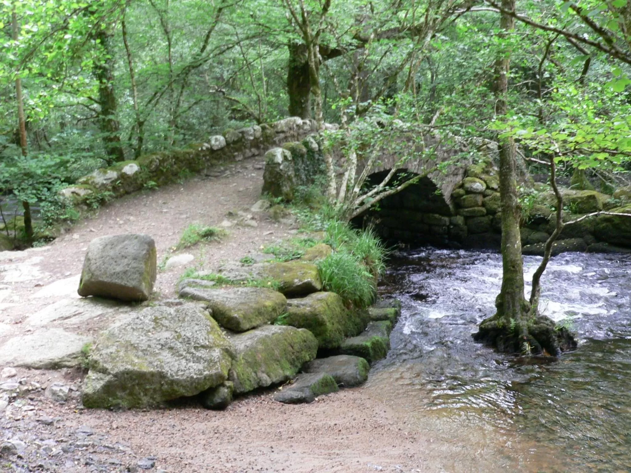 Natural landscape in Park View R & R - Adult Only - Self-Catering - Free Parking - EV Point