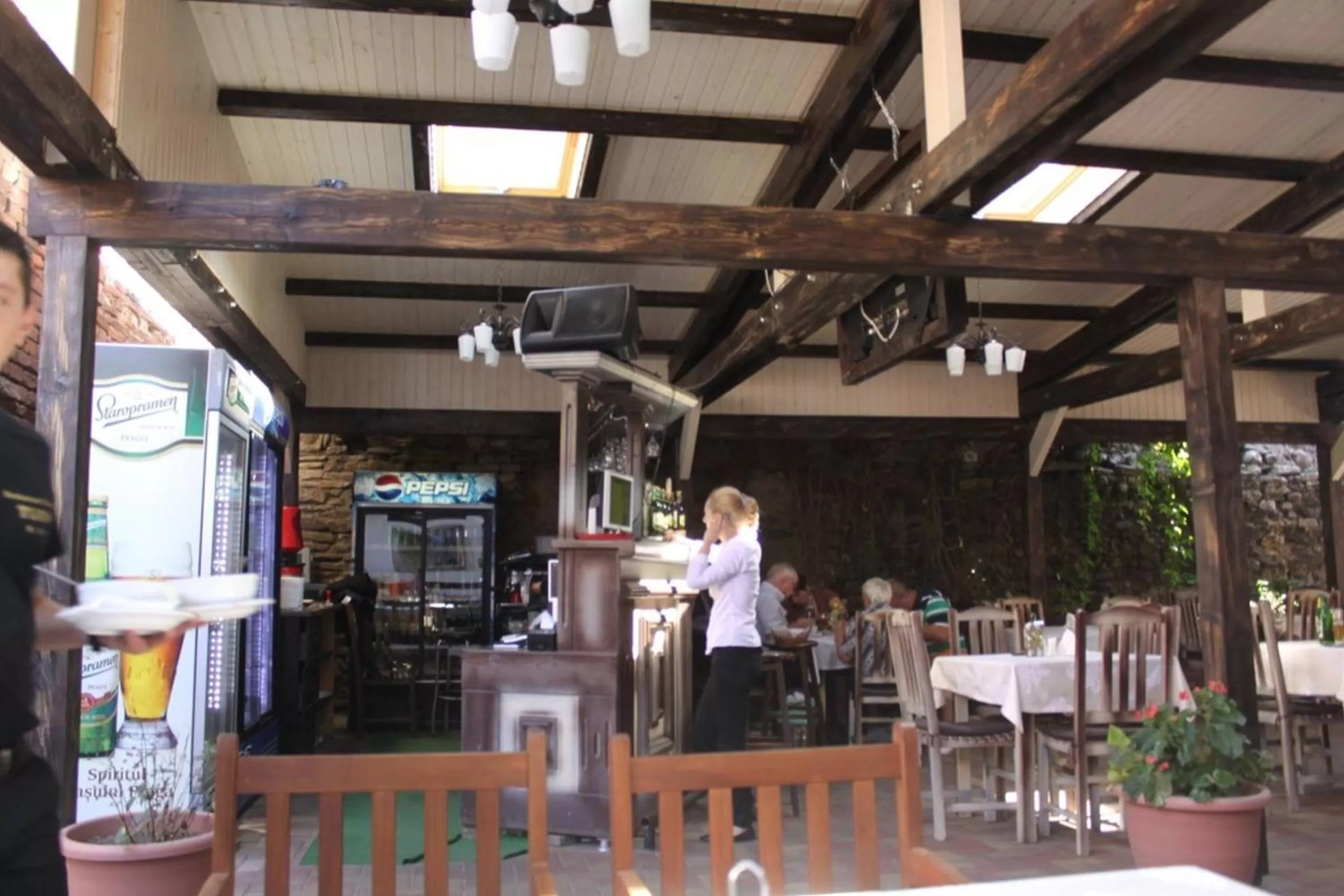 Summer, Restaurant/Places to Eat in Cazare Turn Sebes