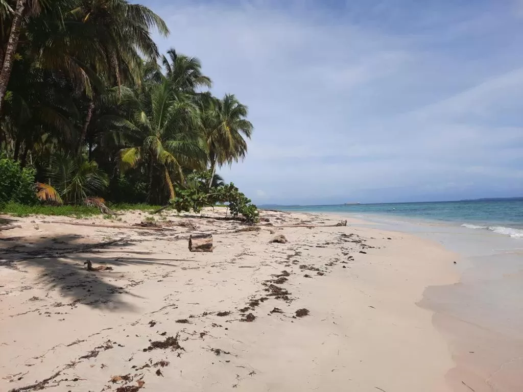 Beach in Casa Acuario Boutique Hotel