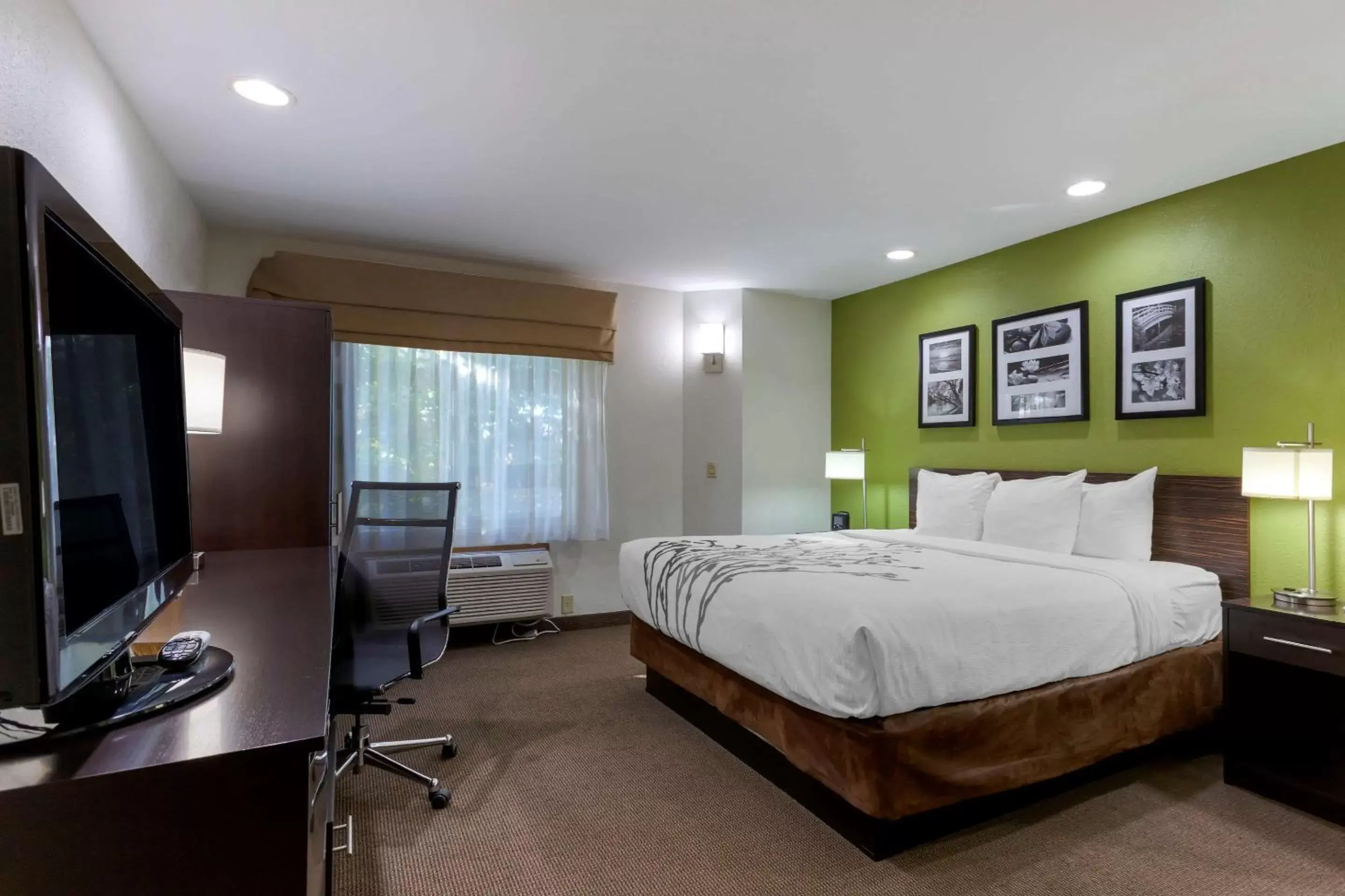 King Room - Non-Smoking in Sleep Inn Ontario King Room - Non-Smoking in Sleep Inn Ontario