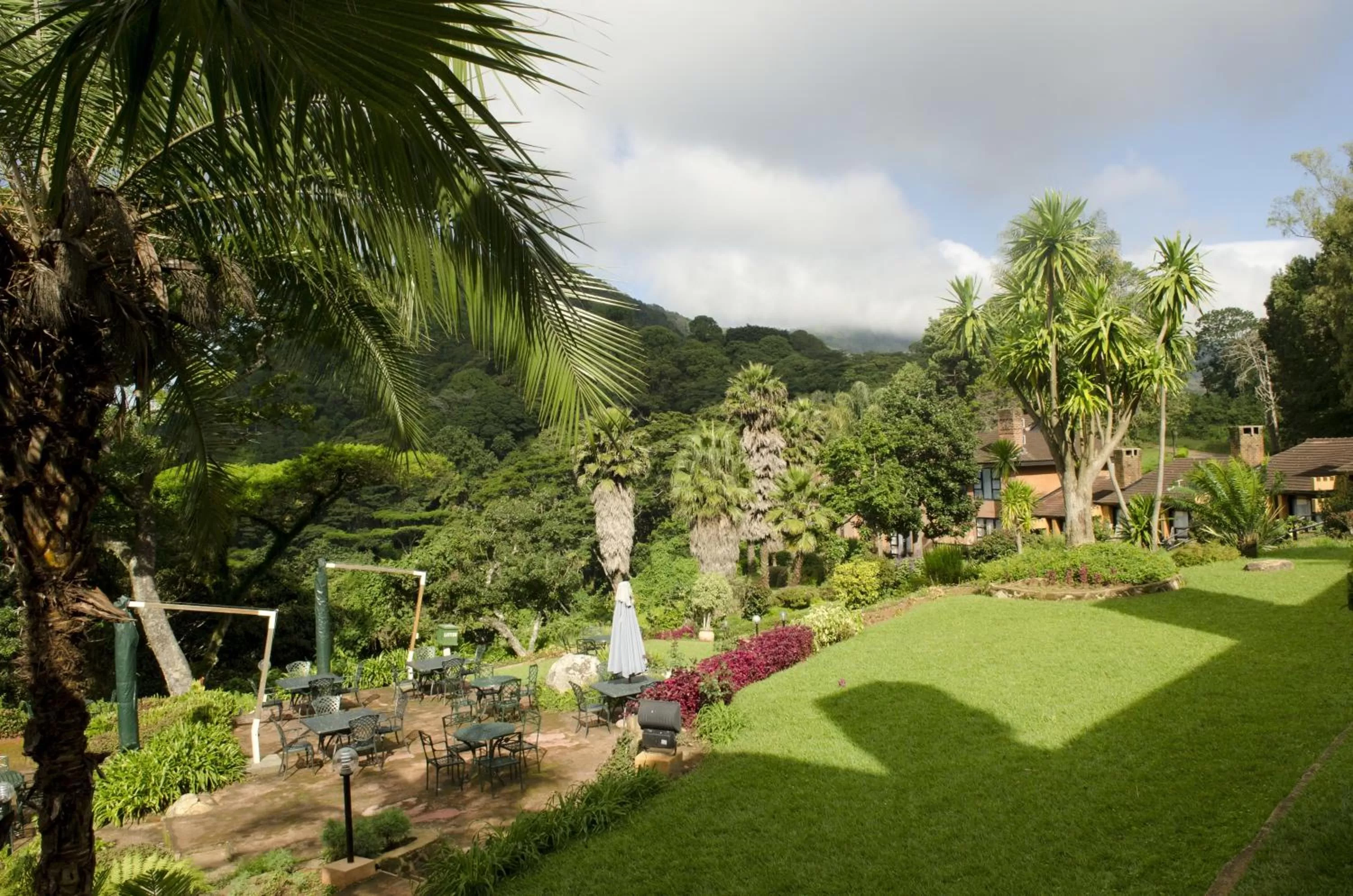 Day in Sunbird Ku Chawe