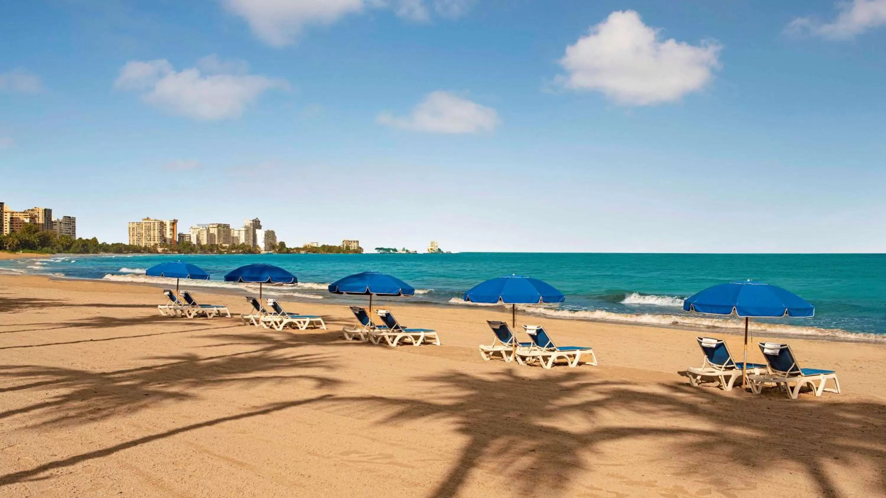 Beach in The Royal Sonesta San Juan