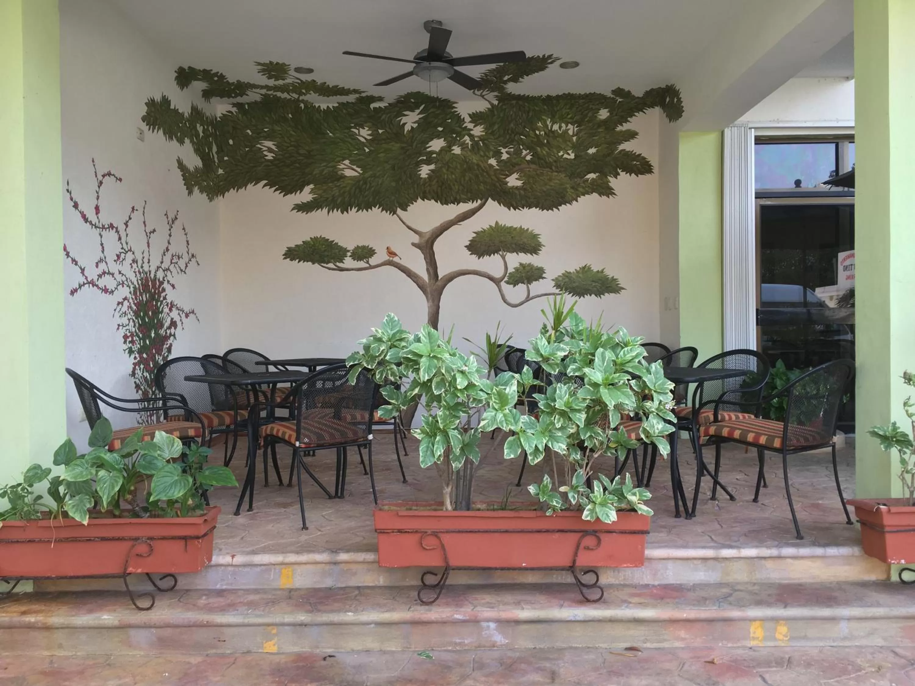 Patio in Hotel Plaza Cozumel