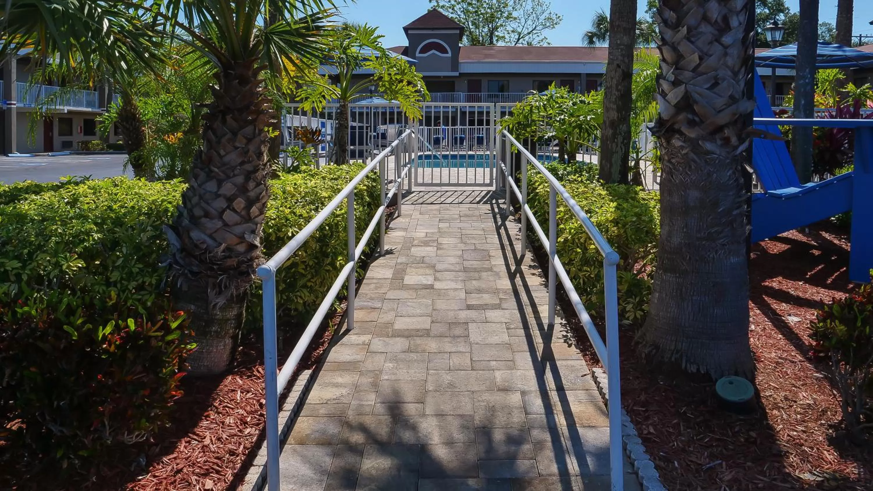Swimming pool in Hotel South Tampa & Suites