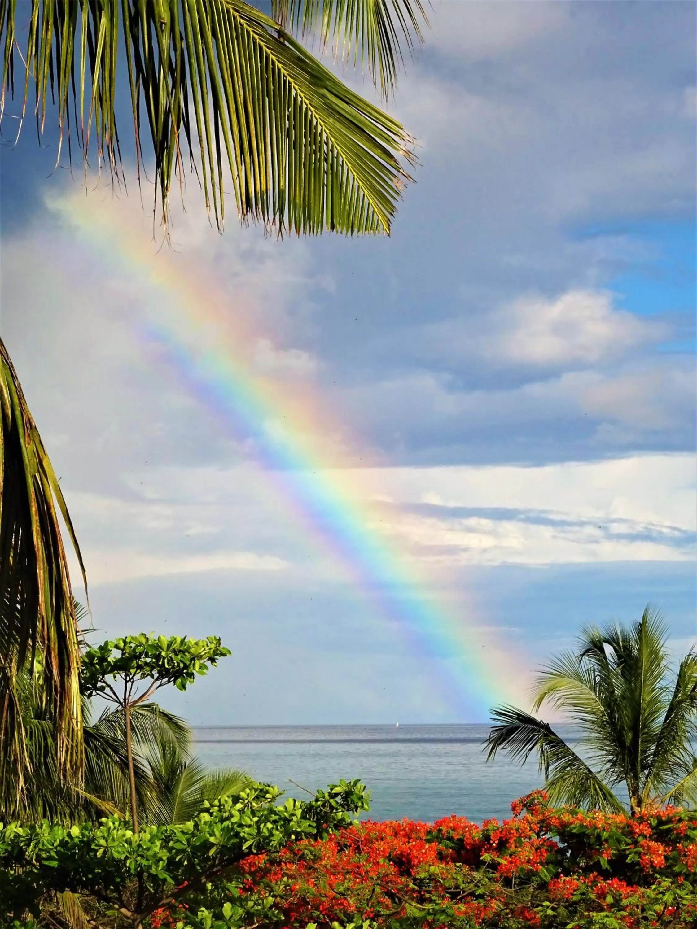 Sea view in Zanzicrown