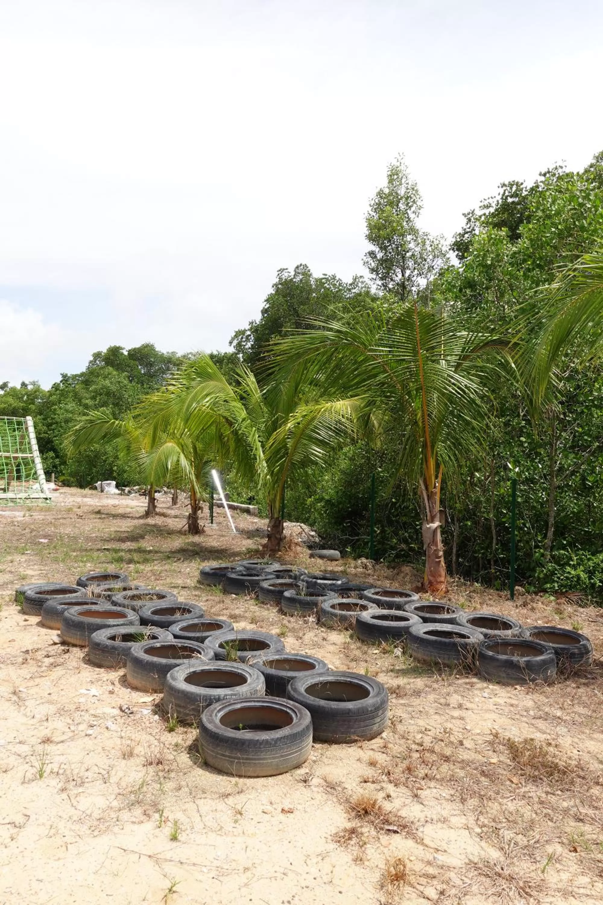 Activities in SENTA Adventure Camp & Resort