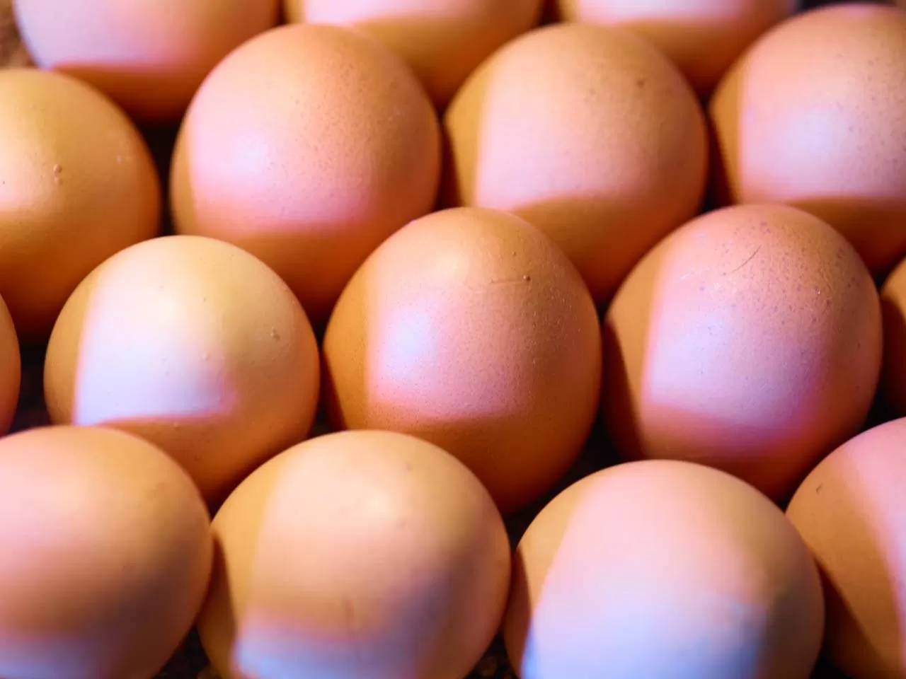 Buffet breakfast in Gasthof-Hotel Pietsch