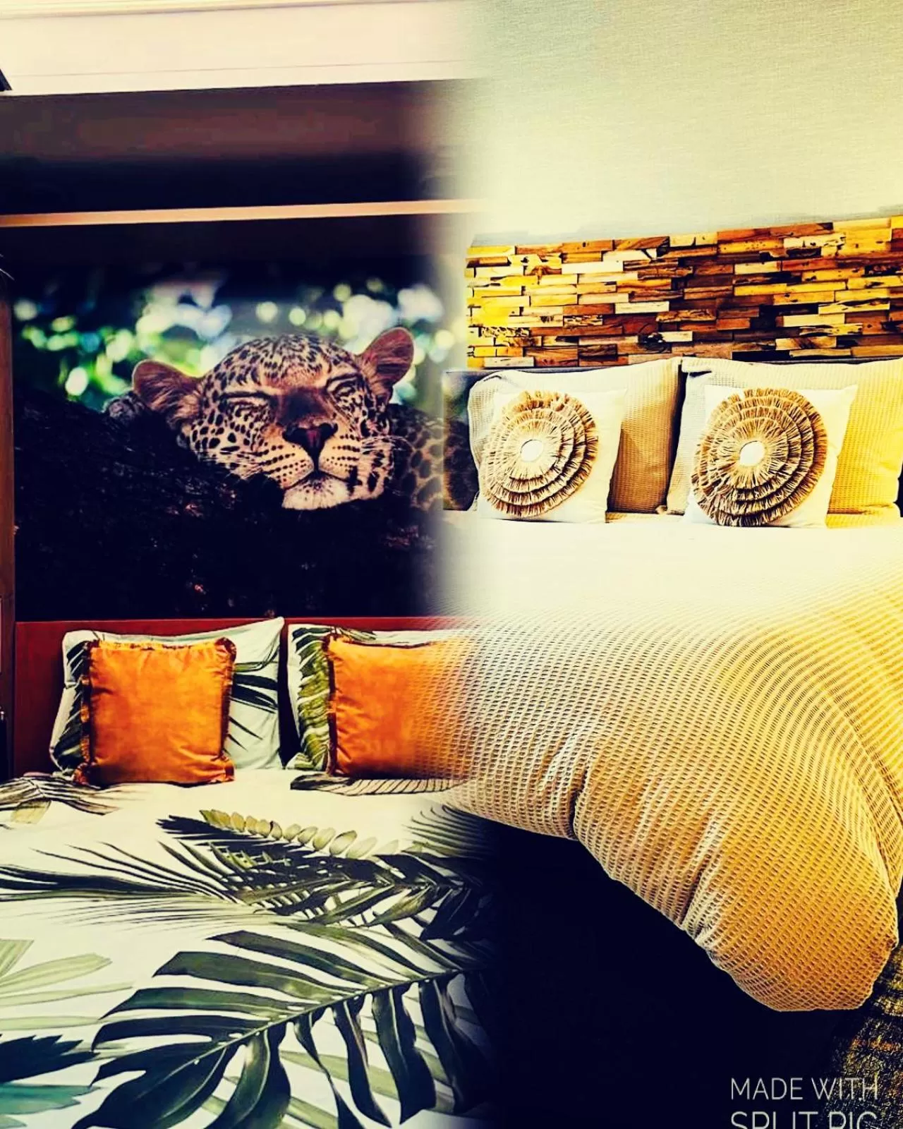 Bed in Heaven in East B&B