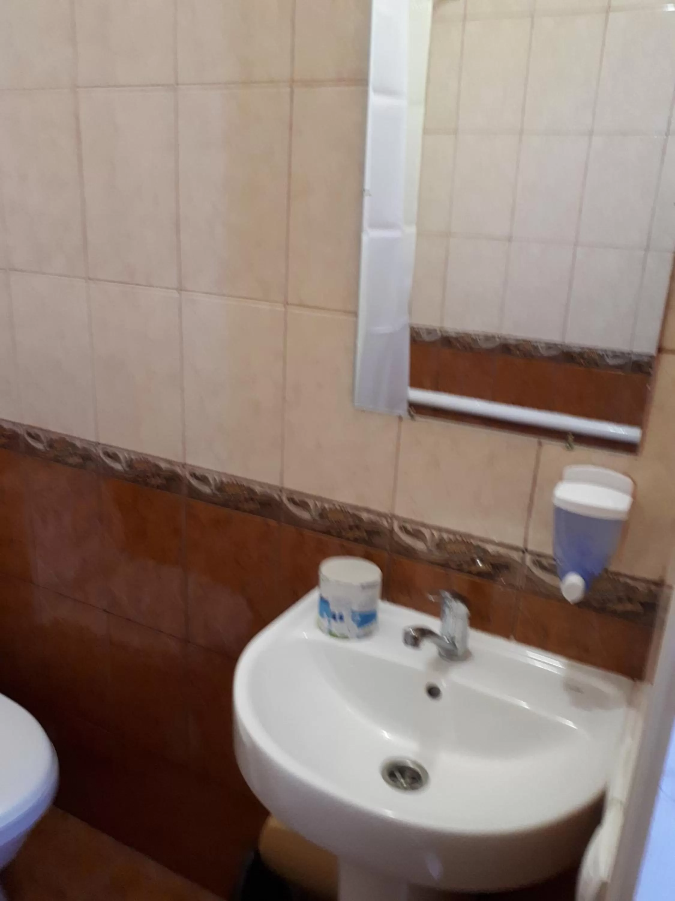 Shower in Hotel Gostynnyi Dvir