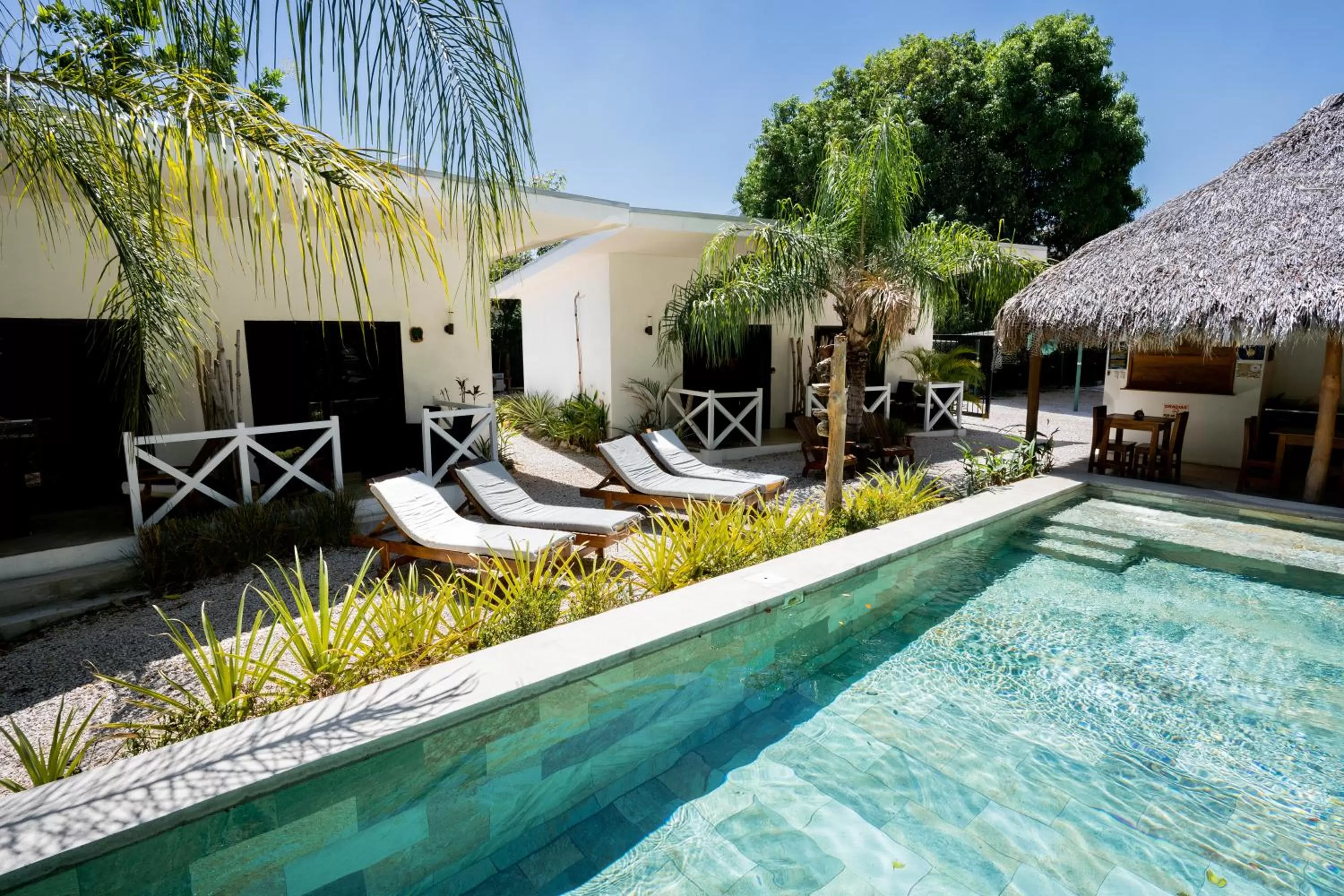 Swimming Pool in Antema Lodge Secteur Tamarindo, piscine, yoga, gym, jungle et paix